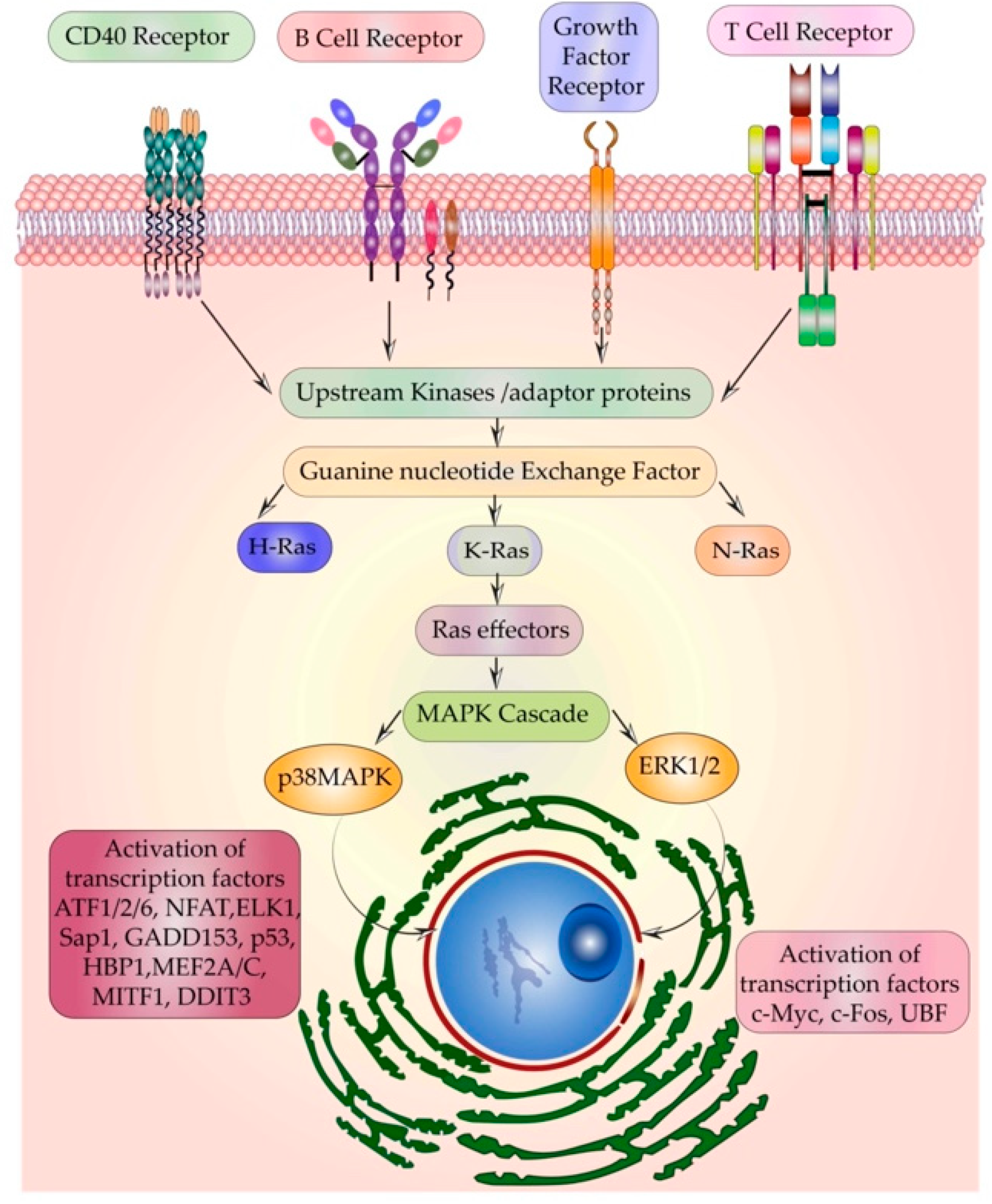 Ijms 22 06508 g005 Ijms 22 06508 g005