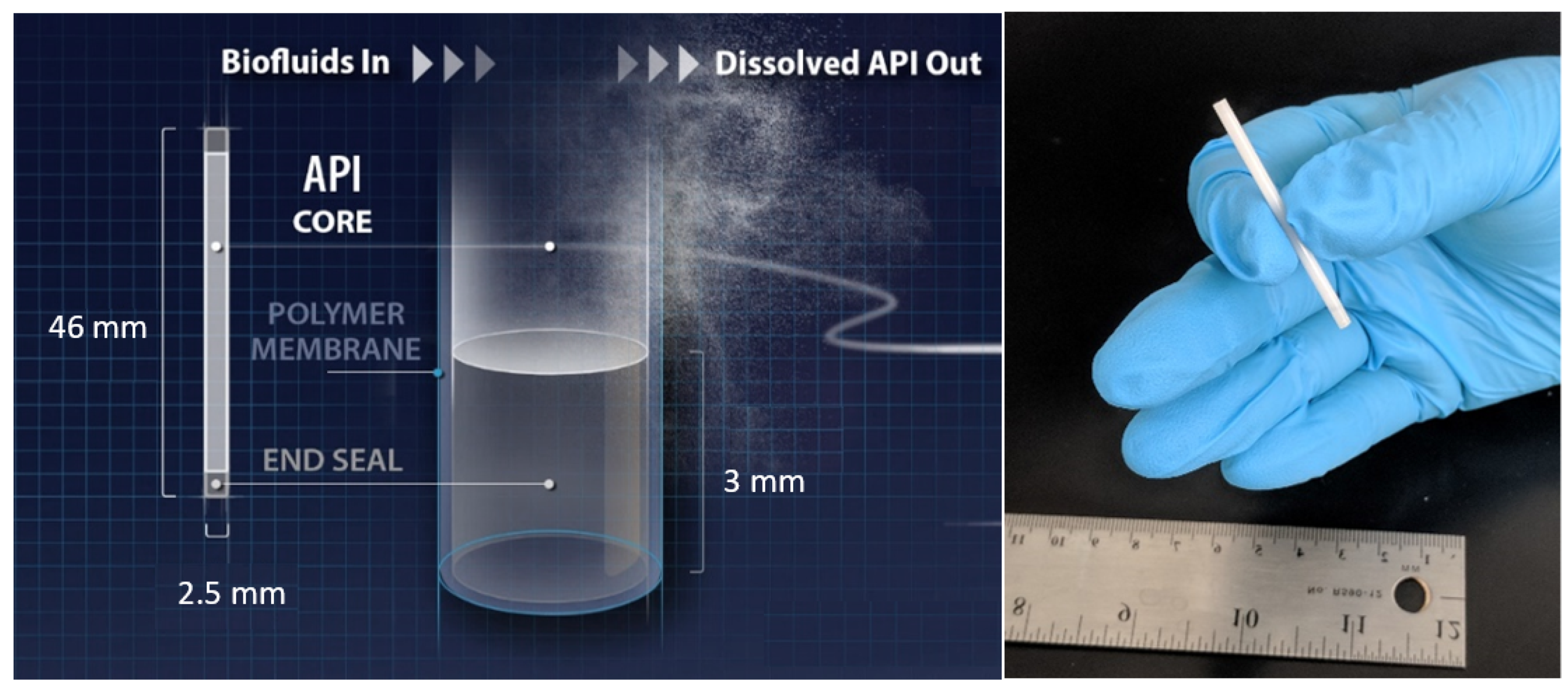 Ijms 22 06529 g001 Ijms 22 06529 g001