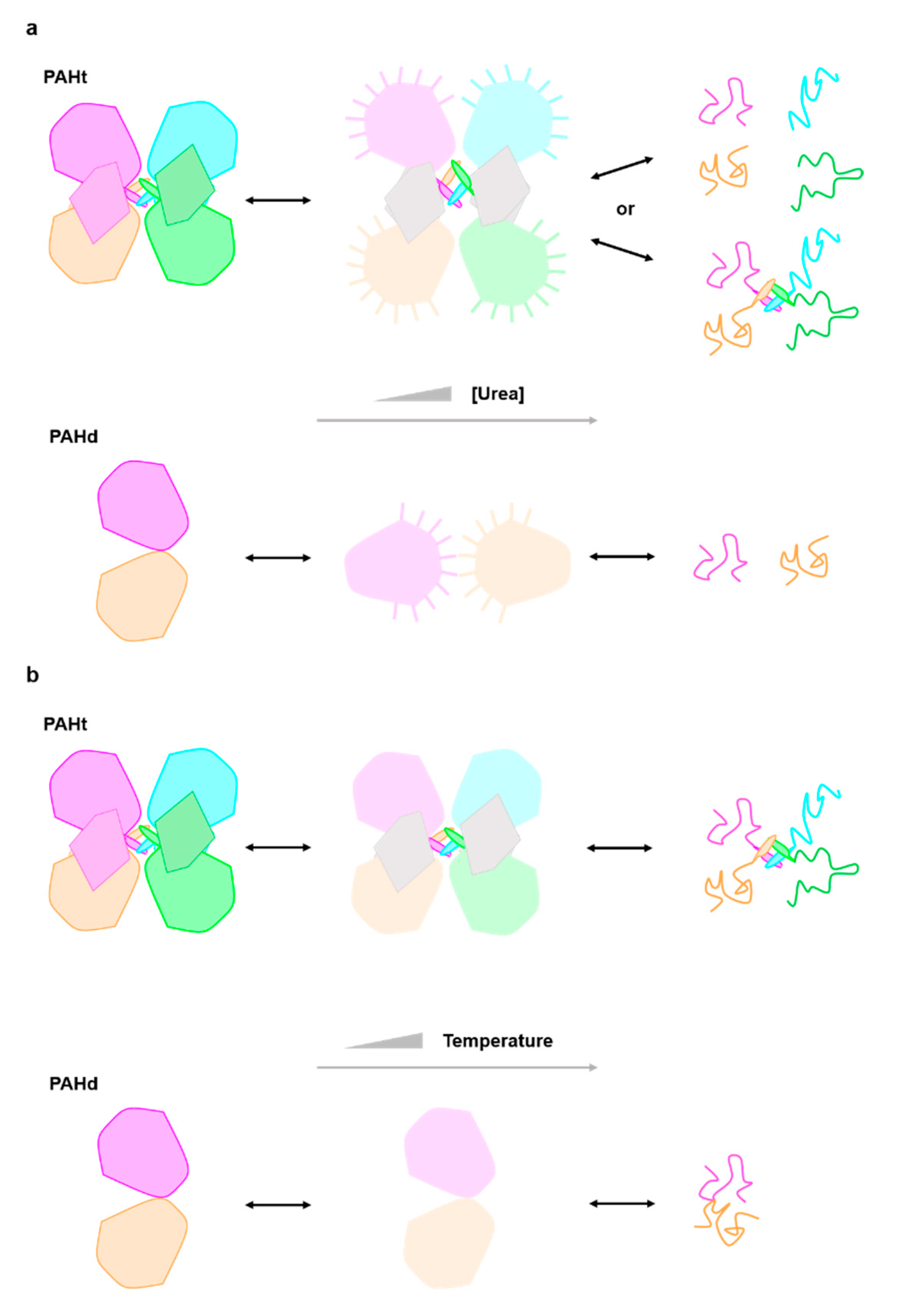 Ijms 22 06539 g004 Ijms 22 06539 g004
