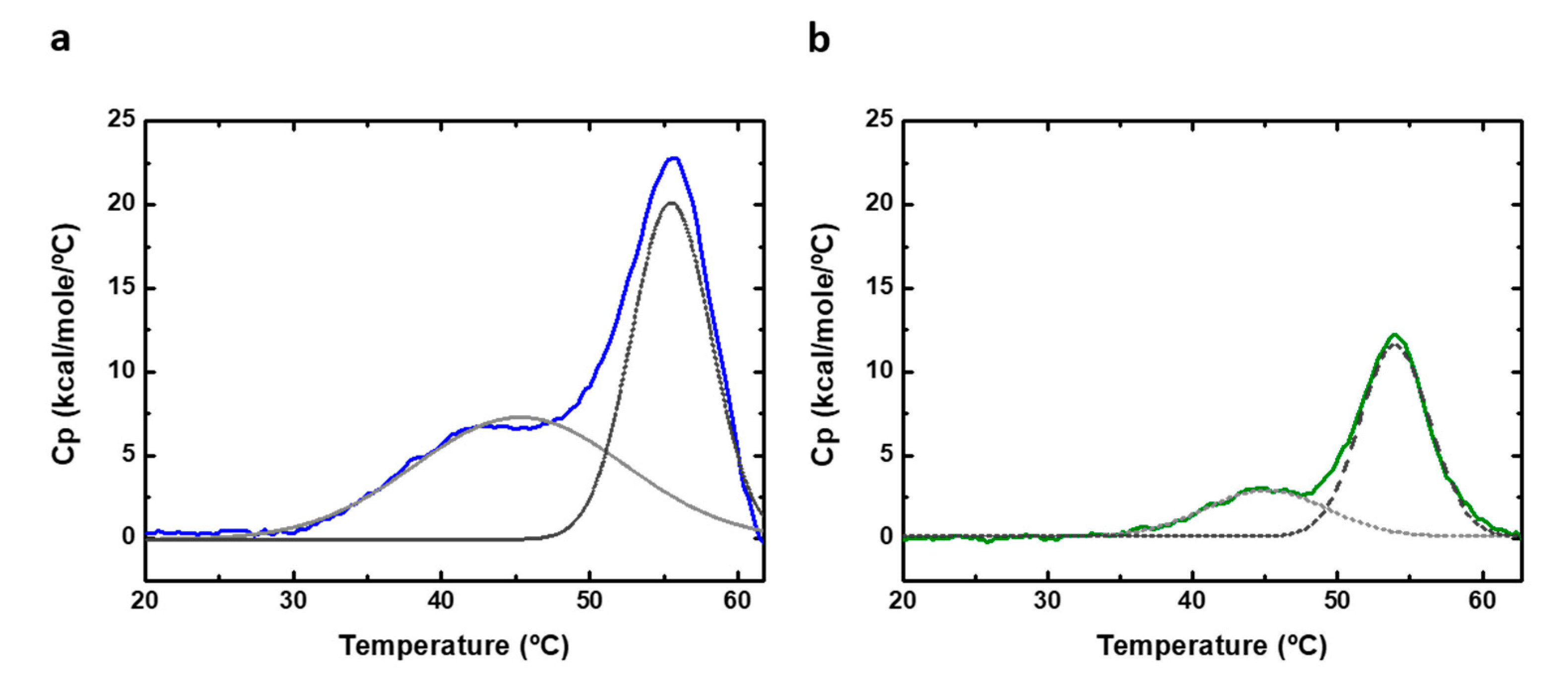 Ijms 22 06539 g007 Ijms 22 06539 g007