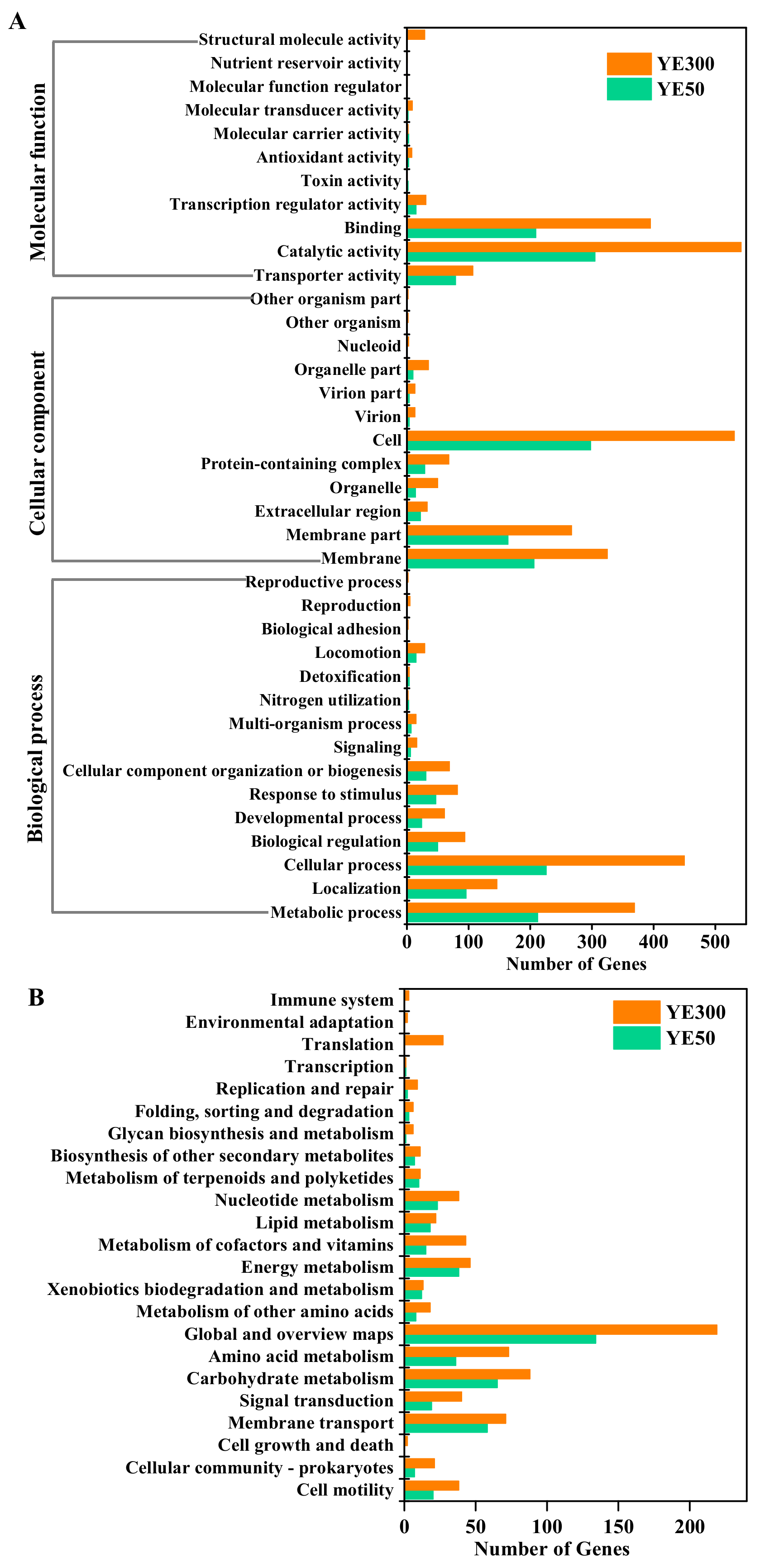 Ijms 22 06543 g003 Ijms 22 06543 g003