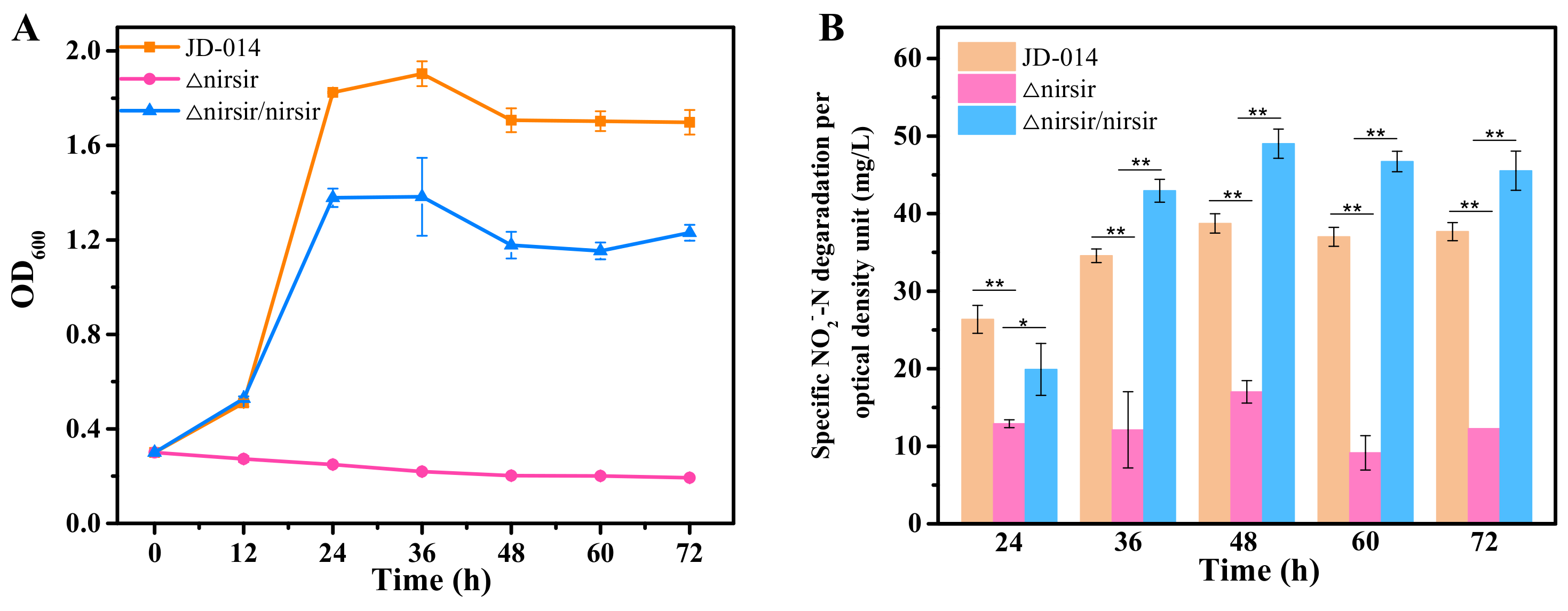 Ijms 22 06543 g005 Ijms 22 06543 g005