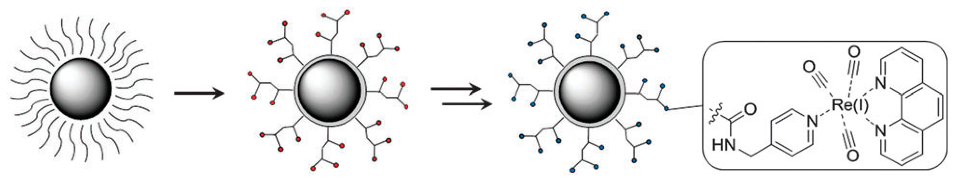 Ijms 22 06546 sch001 Ijms 22 06546 sch001