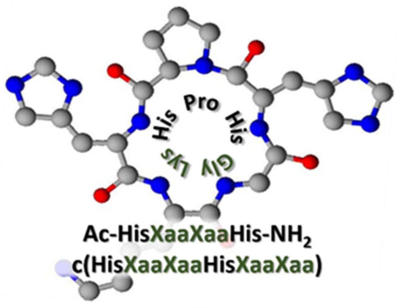 Ijms 22 06628 sch003