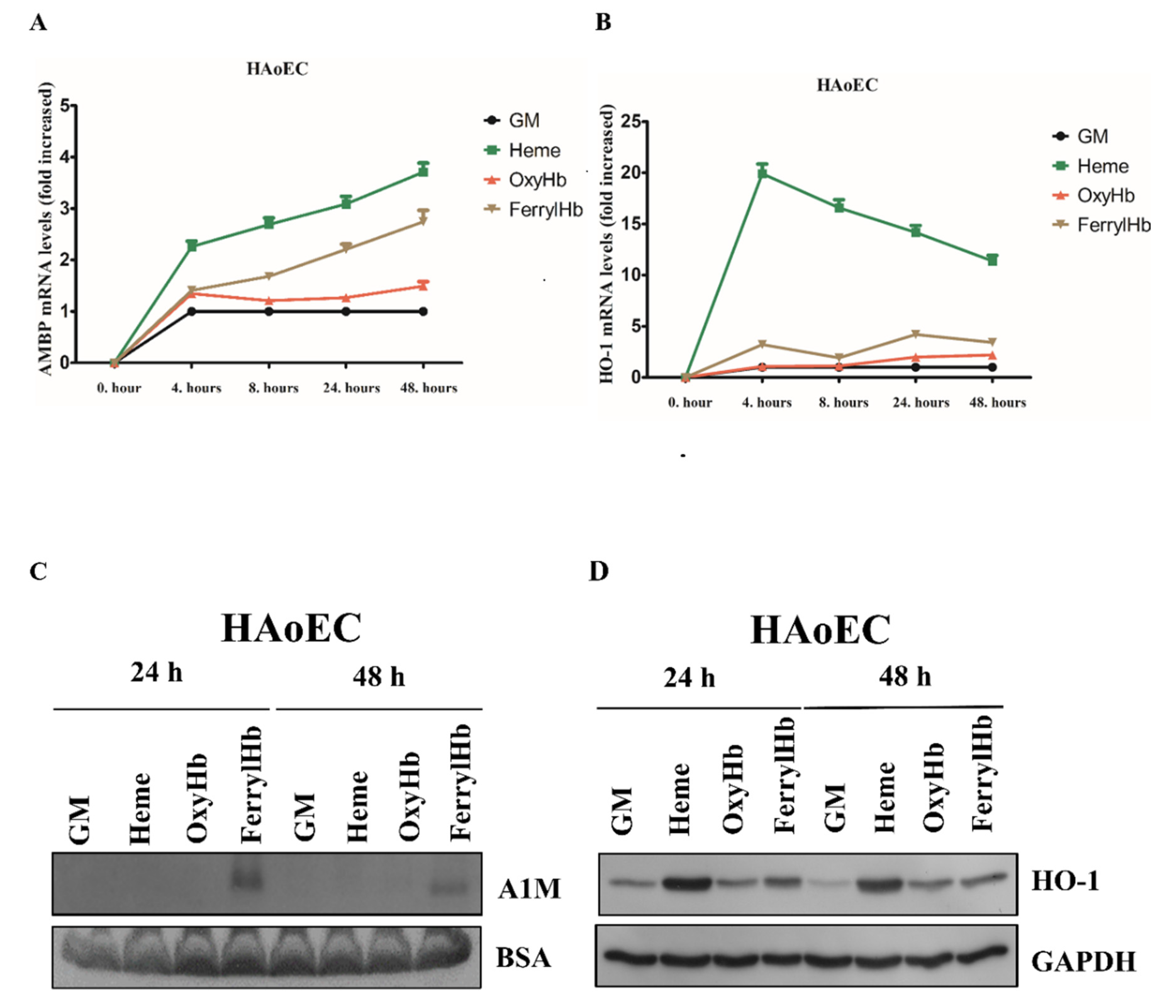 Ijms 22 06668 g002 Ijms 22 06668 g002