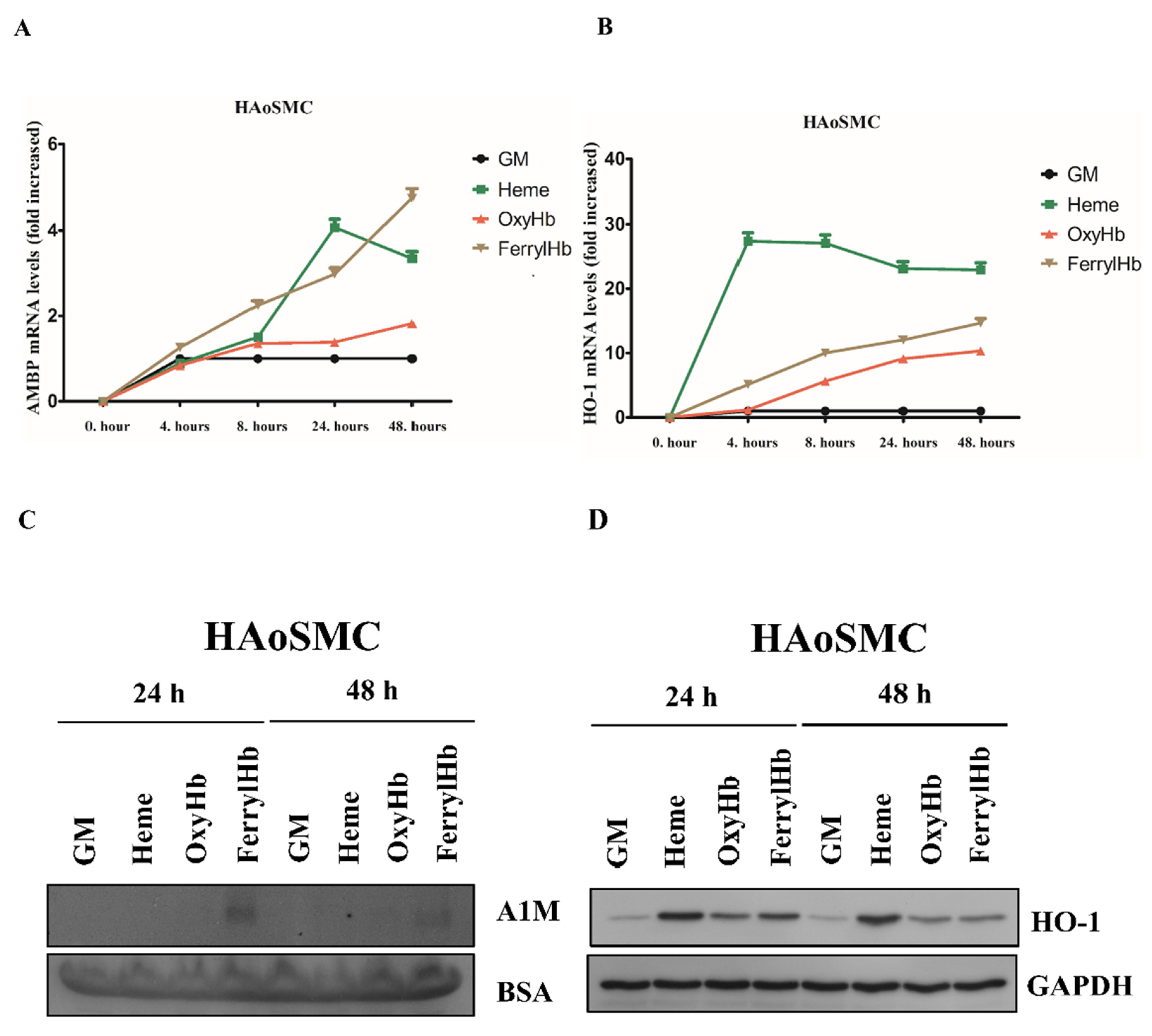 Ijms 22 06668 g003 Ijms 22 06668 g003