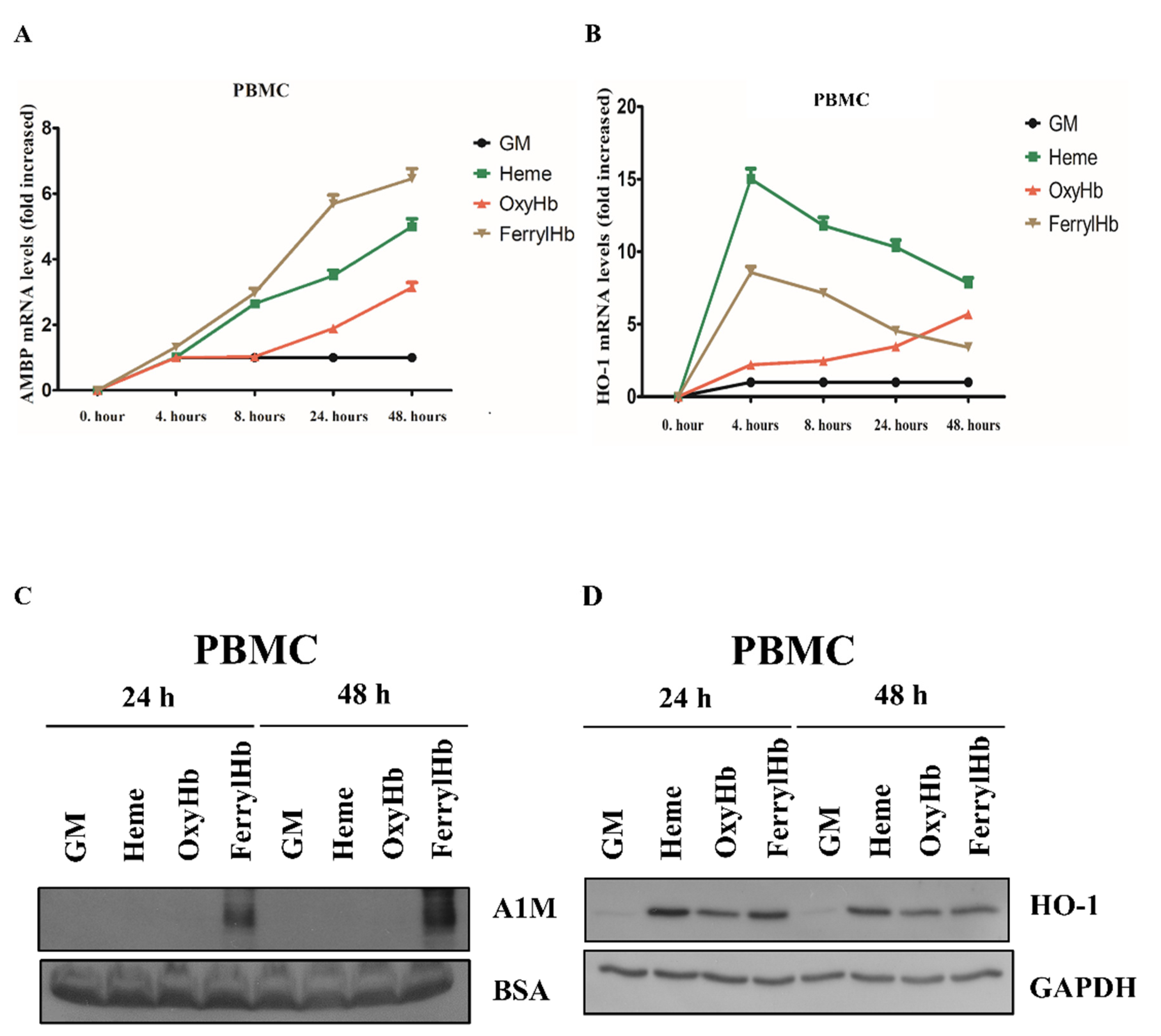 Ijms 22 06668 g004 Ijms 22 06668 g004