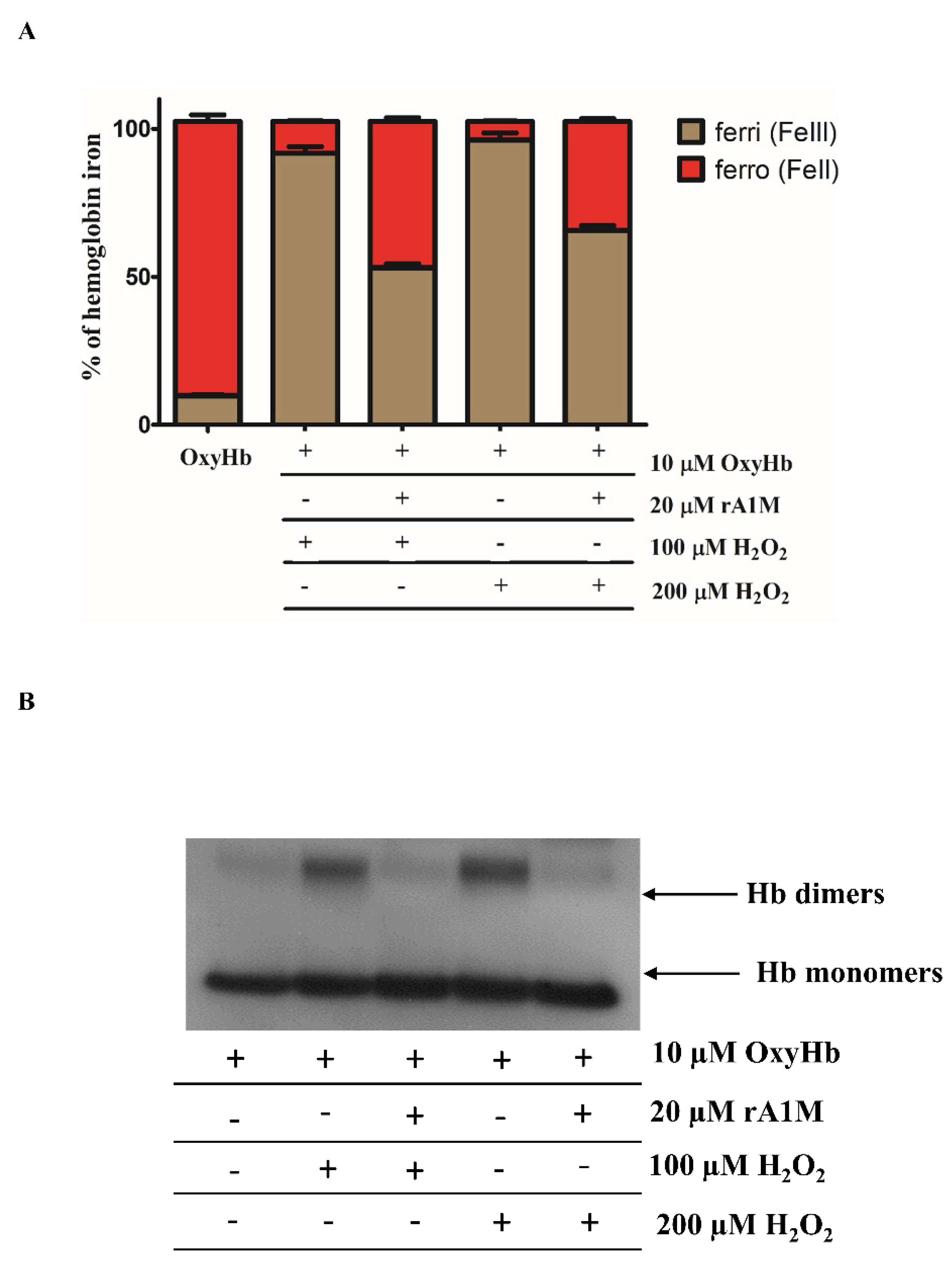 Ijms 22 06668 g005 Ijms 22 06668 g005