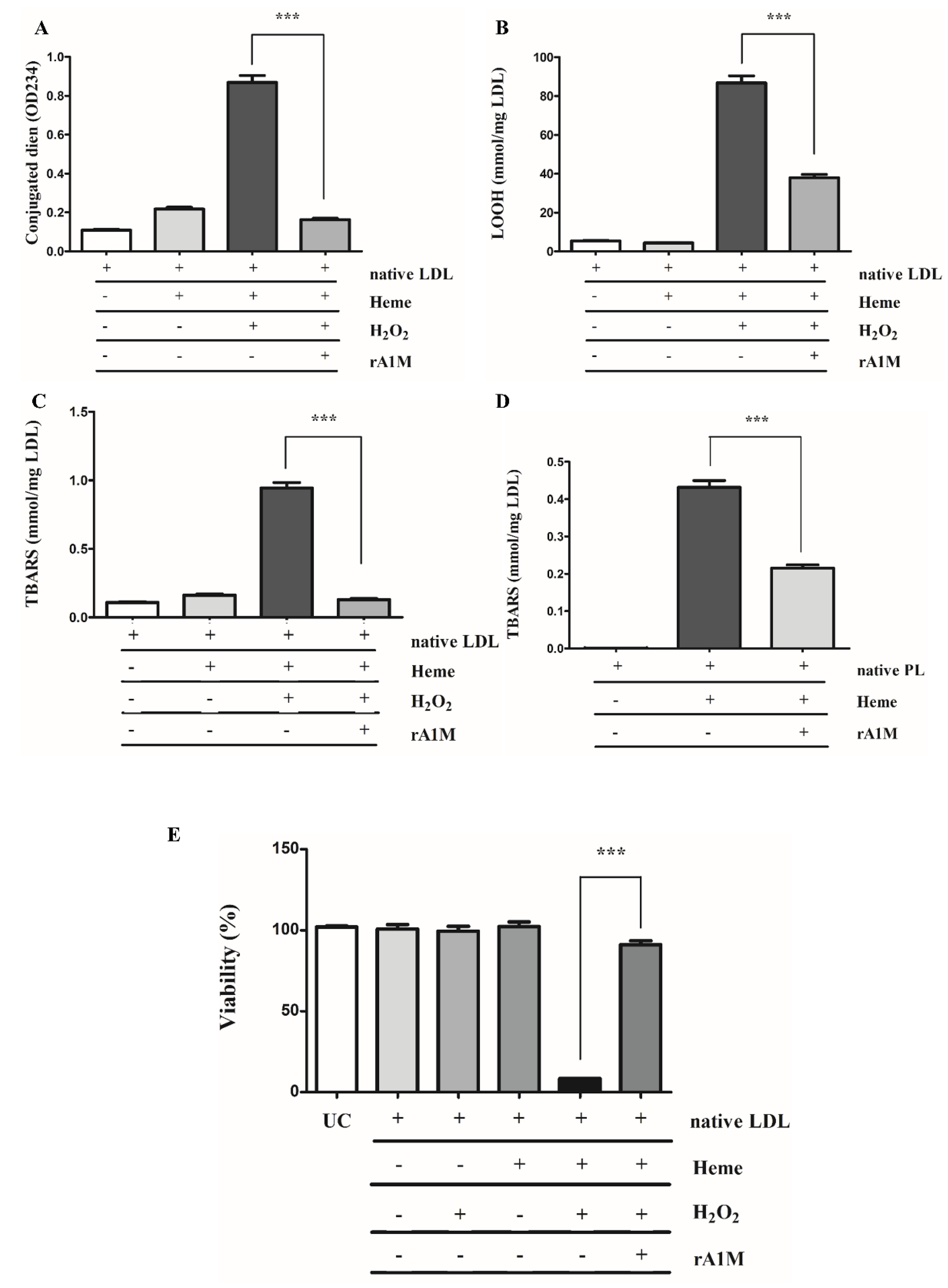 Ijms 22 06668 g006 Ijms 22 06668 g006