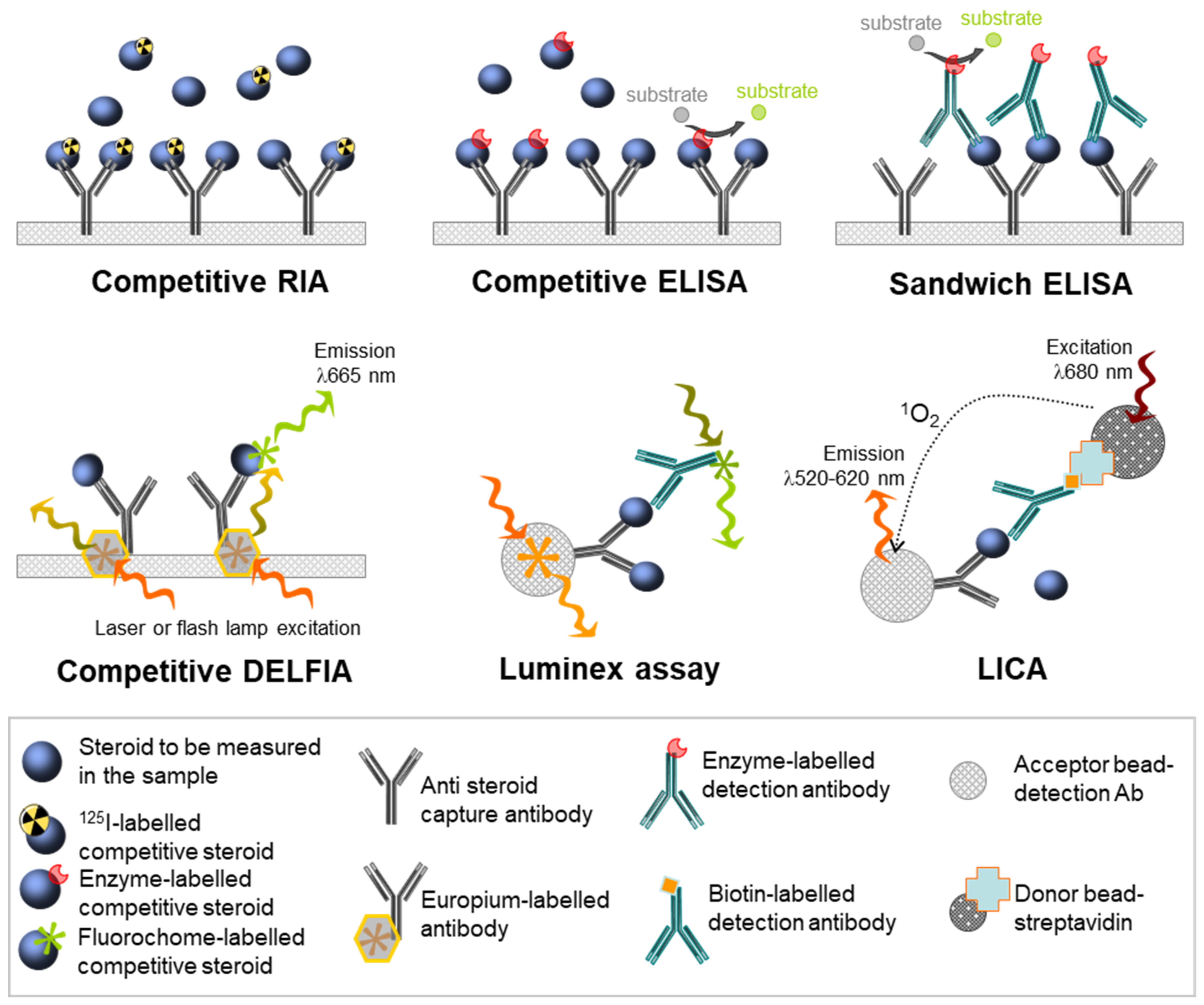 Ijms 22 06681 g003 Ijms 22 06681 g003