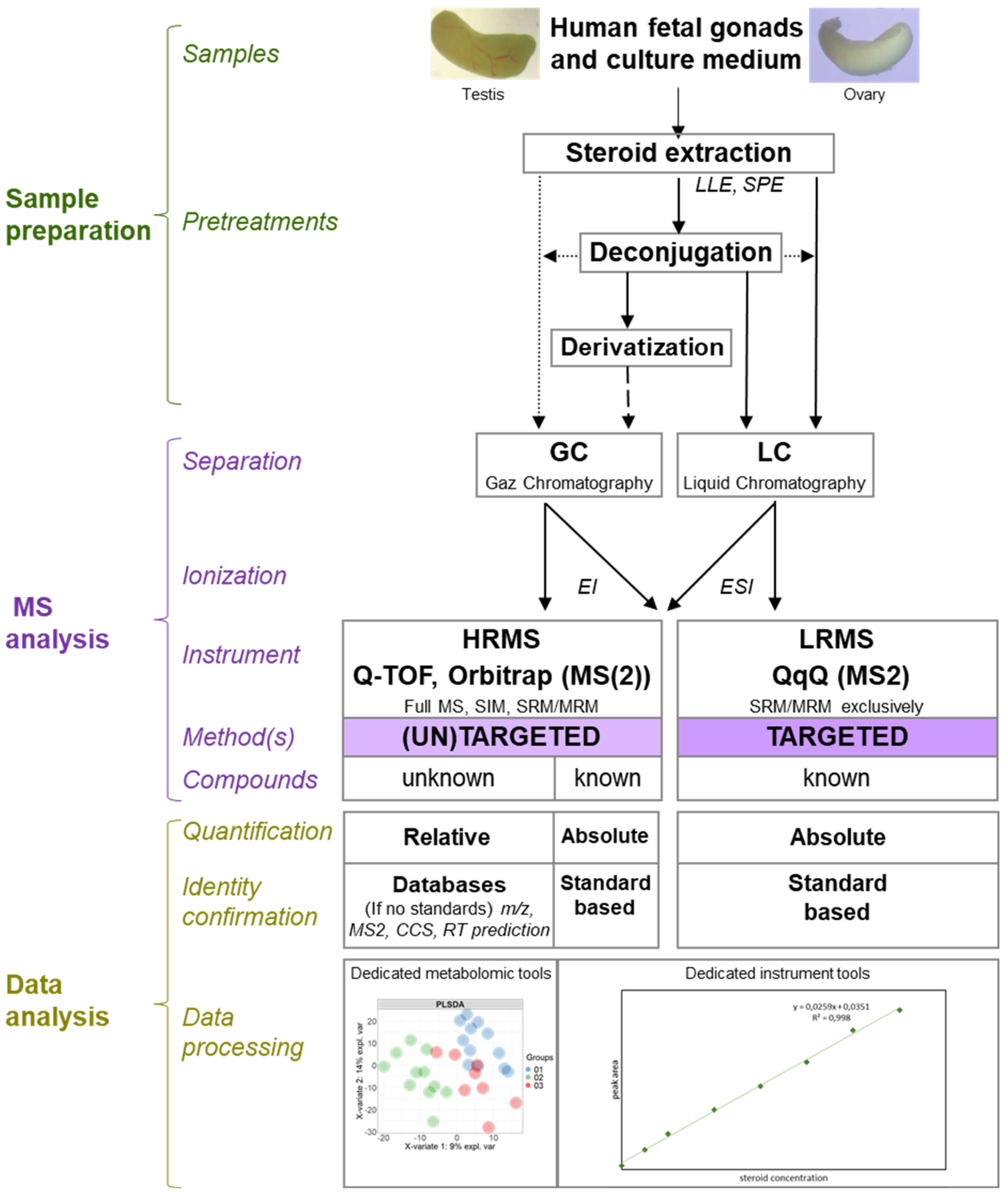 Ijms 22 06681 g004 Ijms 22 06681 g004