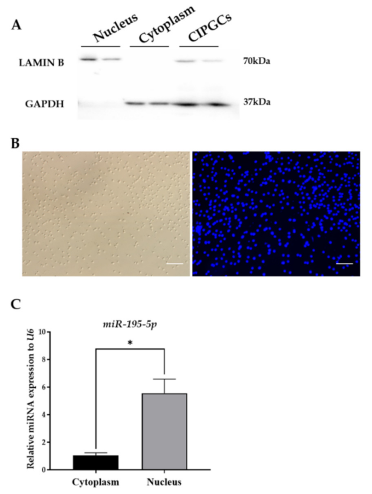 Ijms 22 06721 g001 Ijms 22 06721 g001