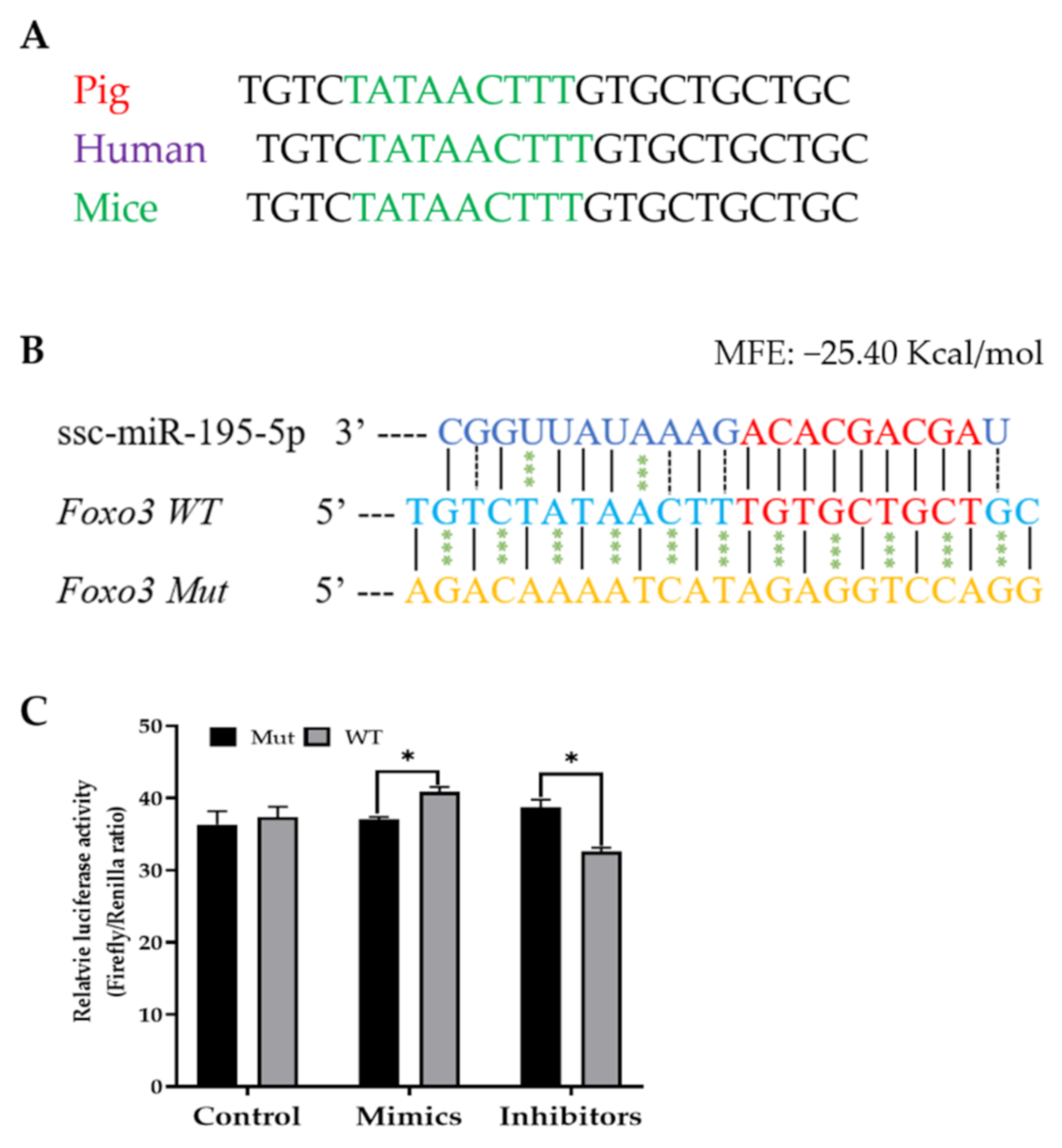 Ijms 22 06721 g002 Ijms 22 06721 g002