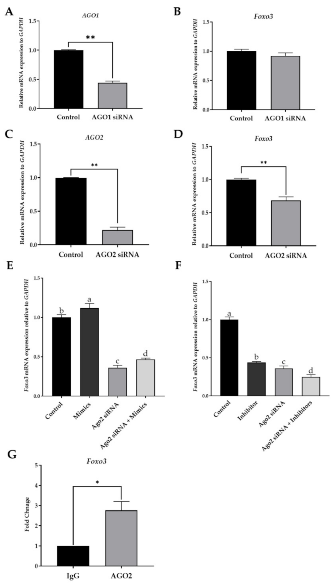 Ijms 22 06721 g004 Ijms 22 06721 g004