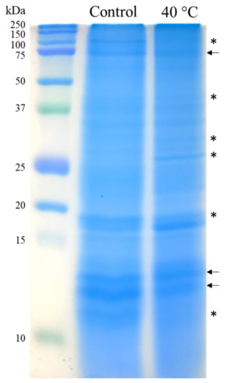 Ijms 22 06750 g0a1 550