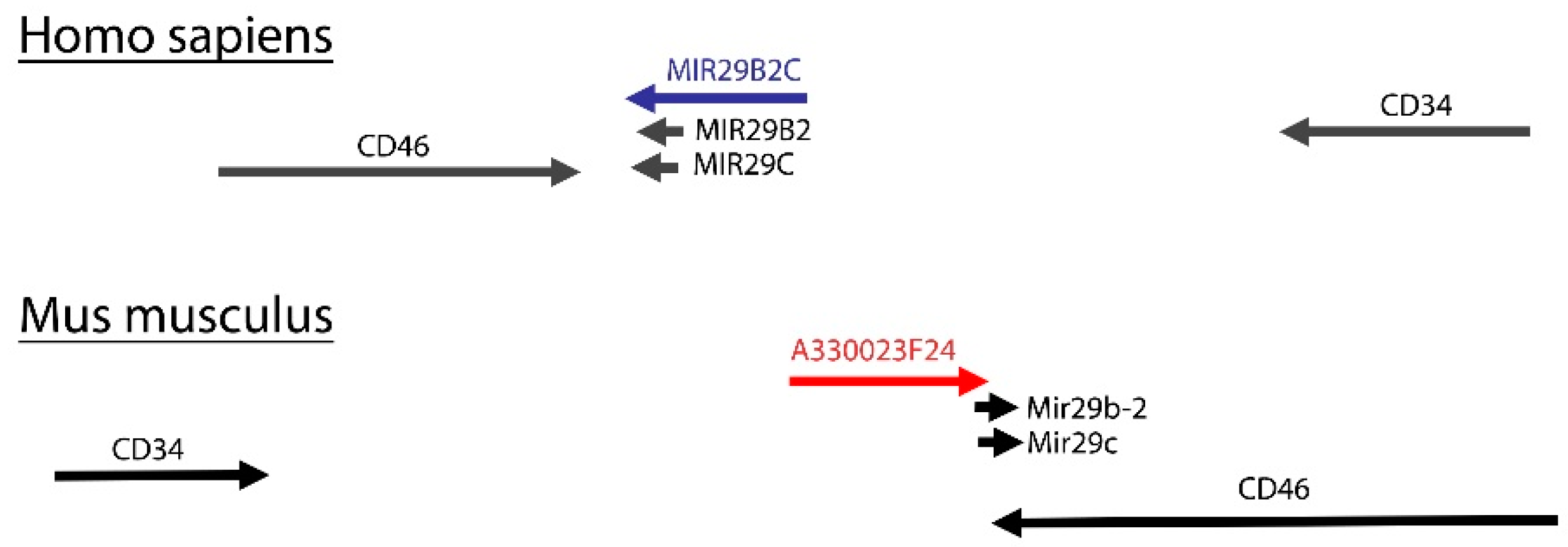 Ijms 22 06768 g001 Ijms 22 06768 g001