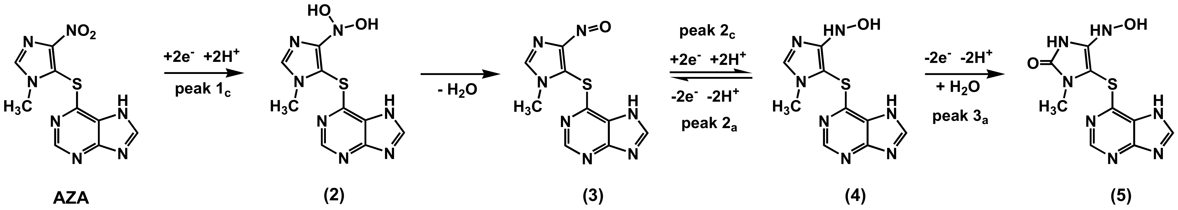 Ijms 22 06805 sch001