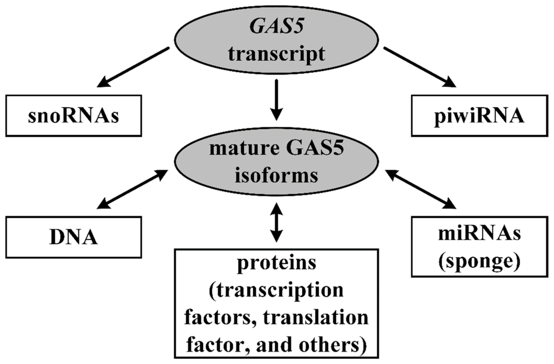 Ijms 22 06810 g001