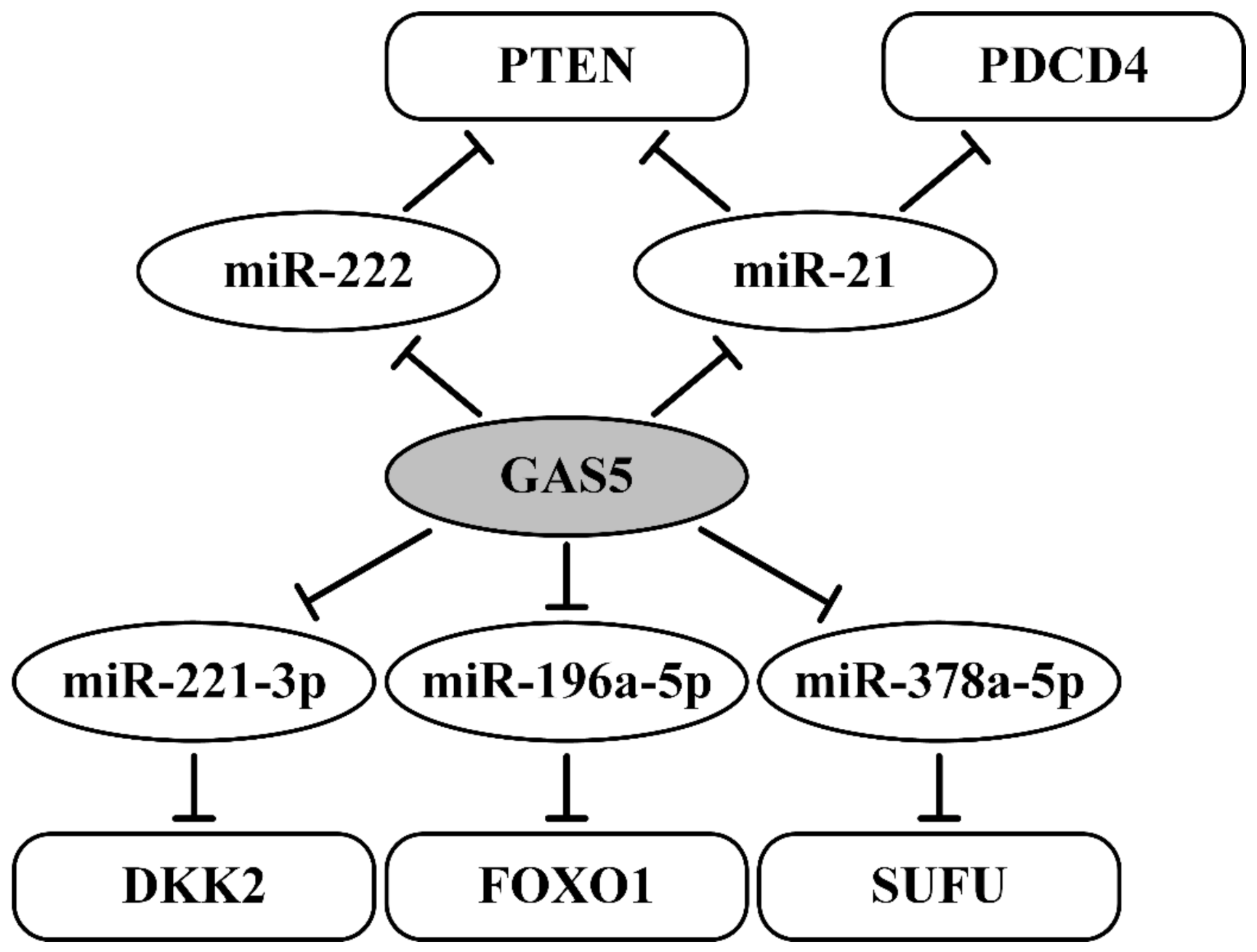 Ijms 22 06810 g002