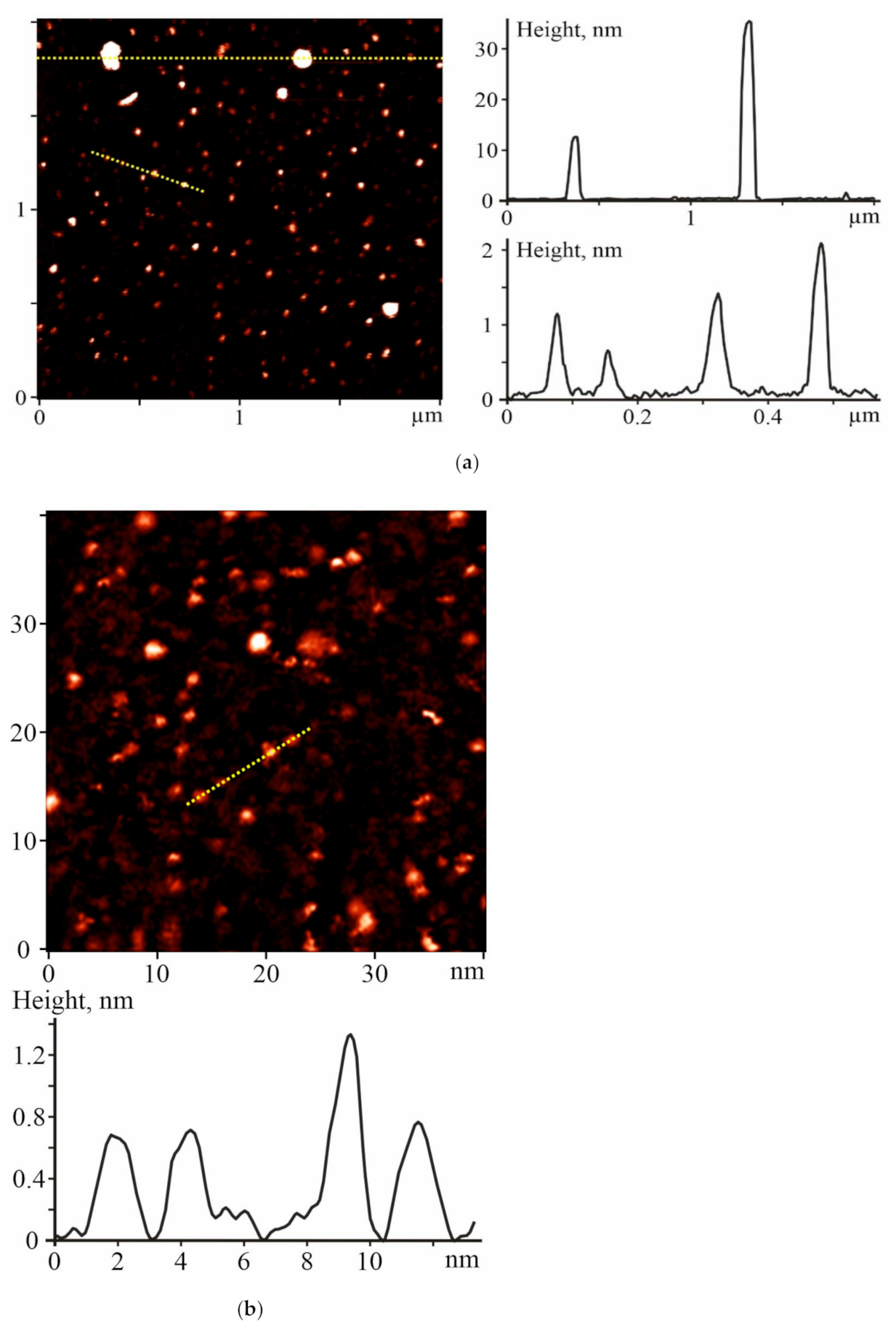 Ijms 22 06812 g001