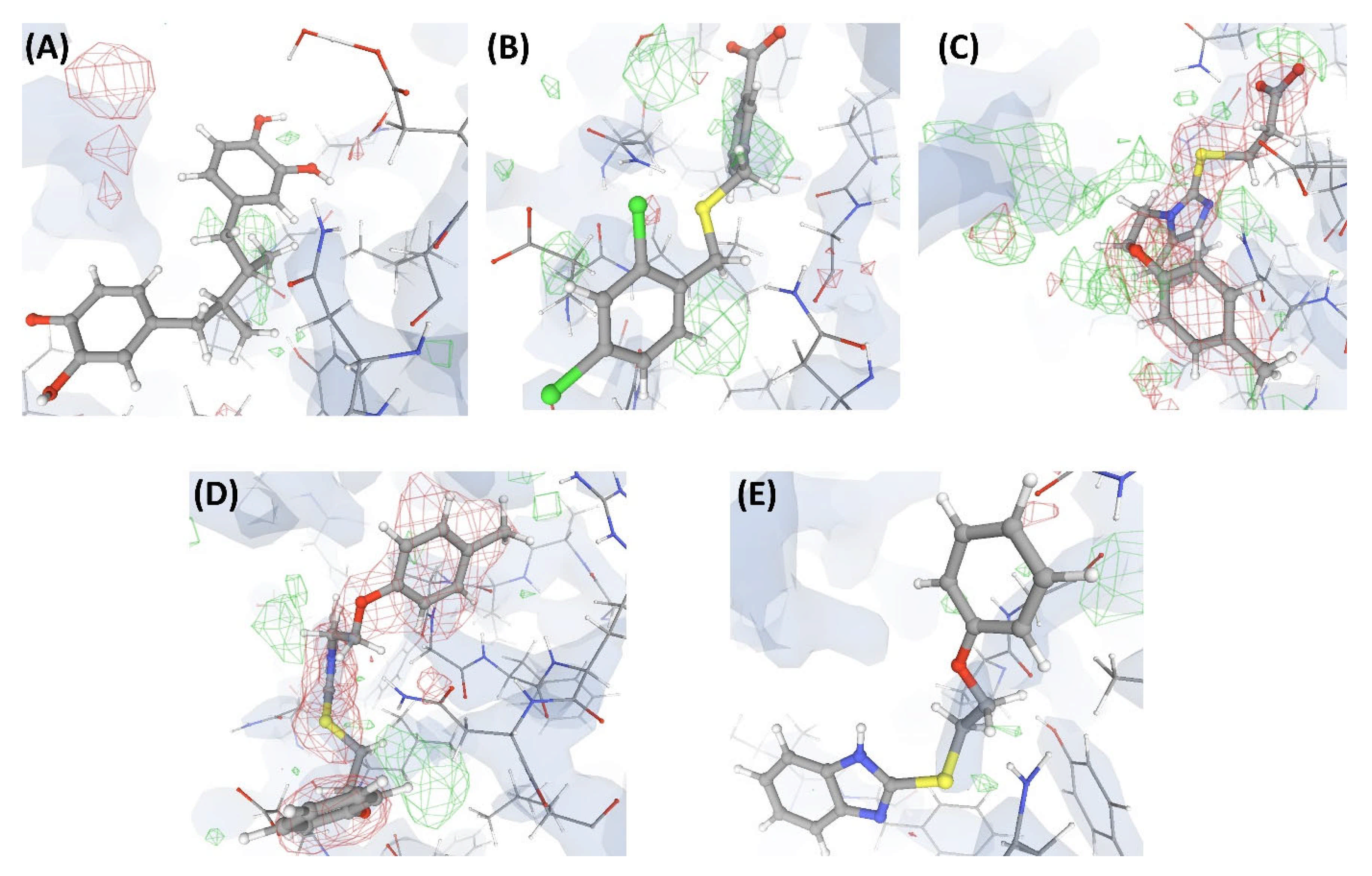 Ijms 22 06830 g004 Ijms 22 06830 g004
