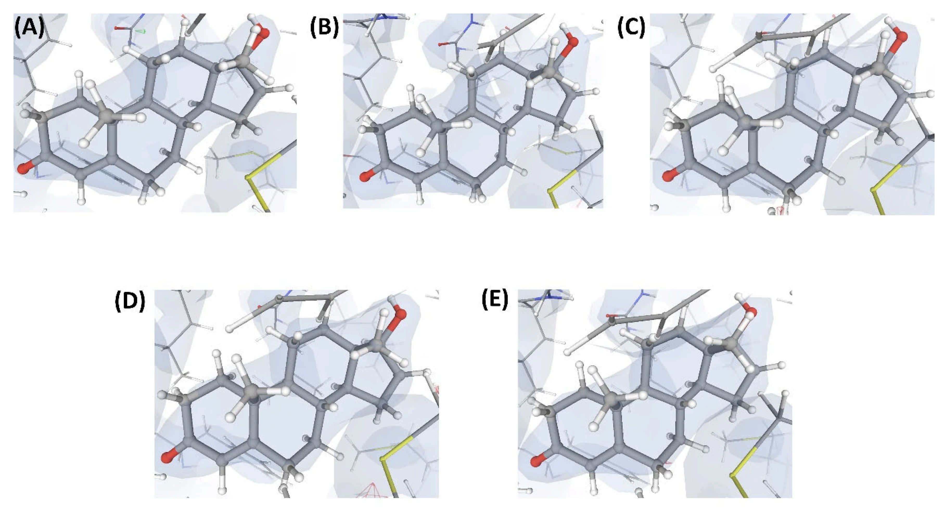 Ijms 22 06830 g005 Ijms 22 06830 g005