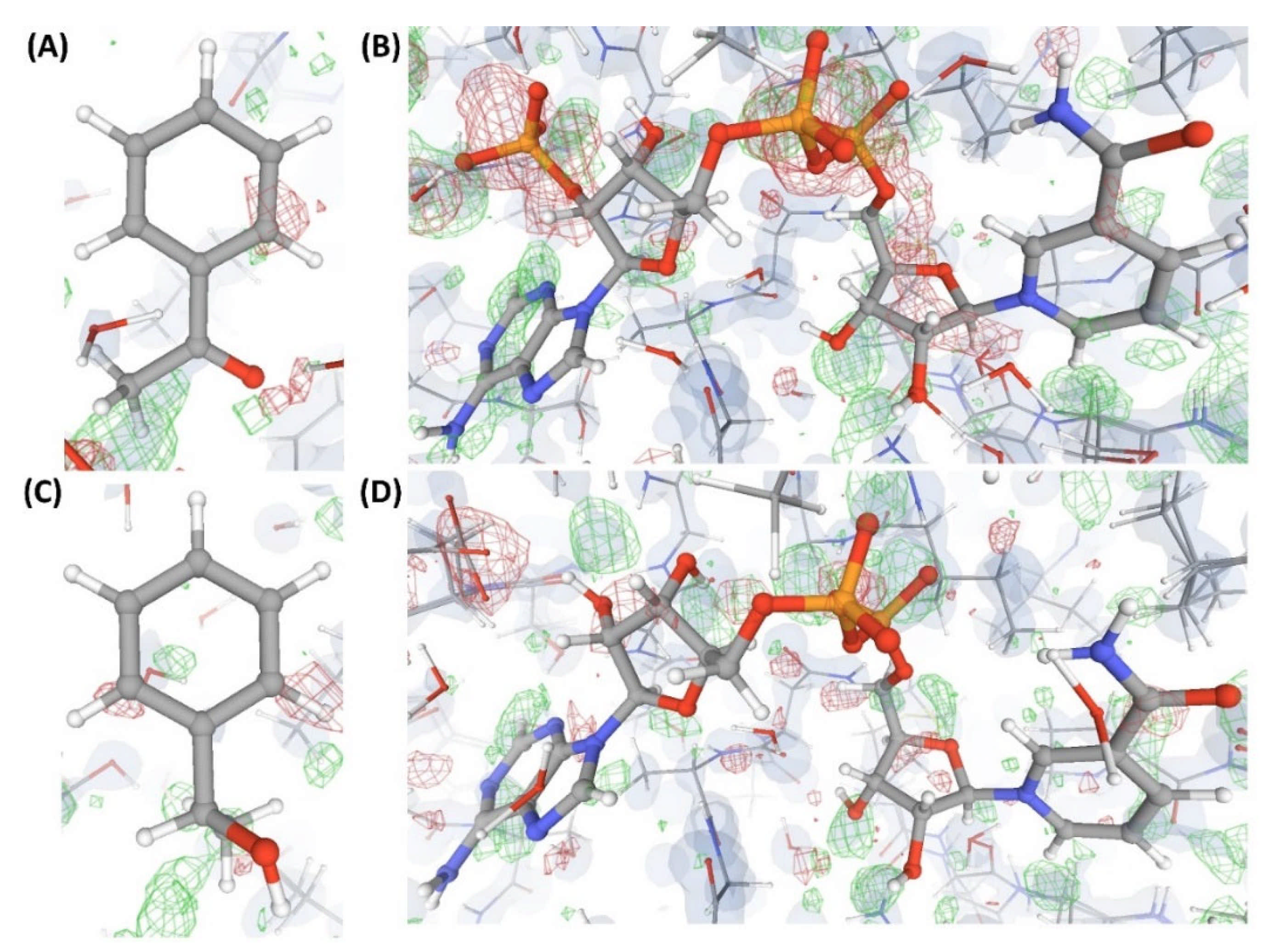 Ijms 22 06830 g006 Ijms 22 06830 g006