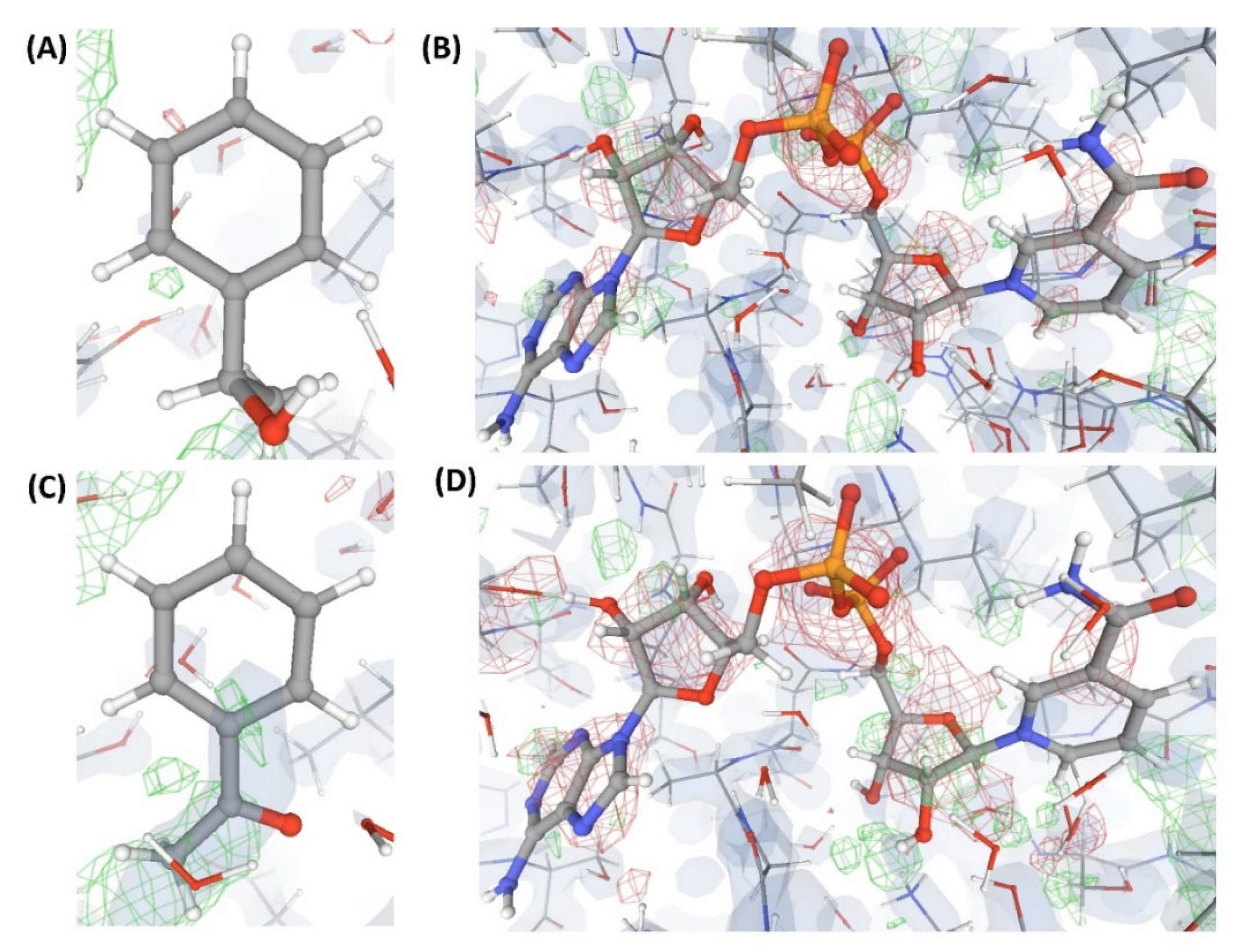 Ijms 22 06830 g007 Ijms 22 06830 g007