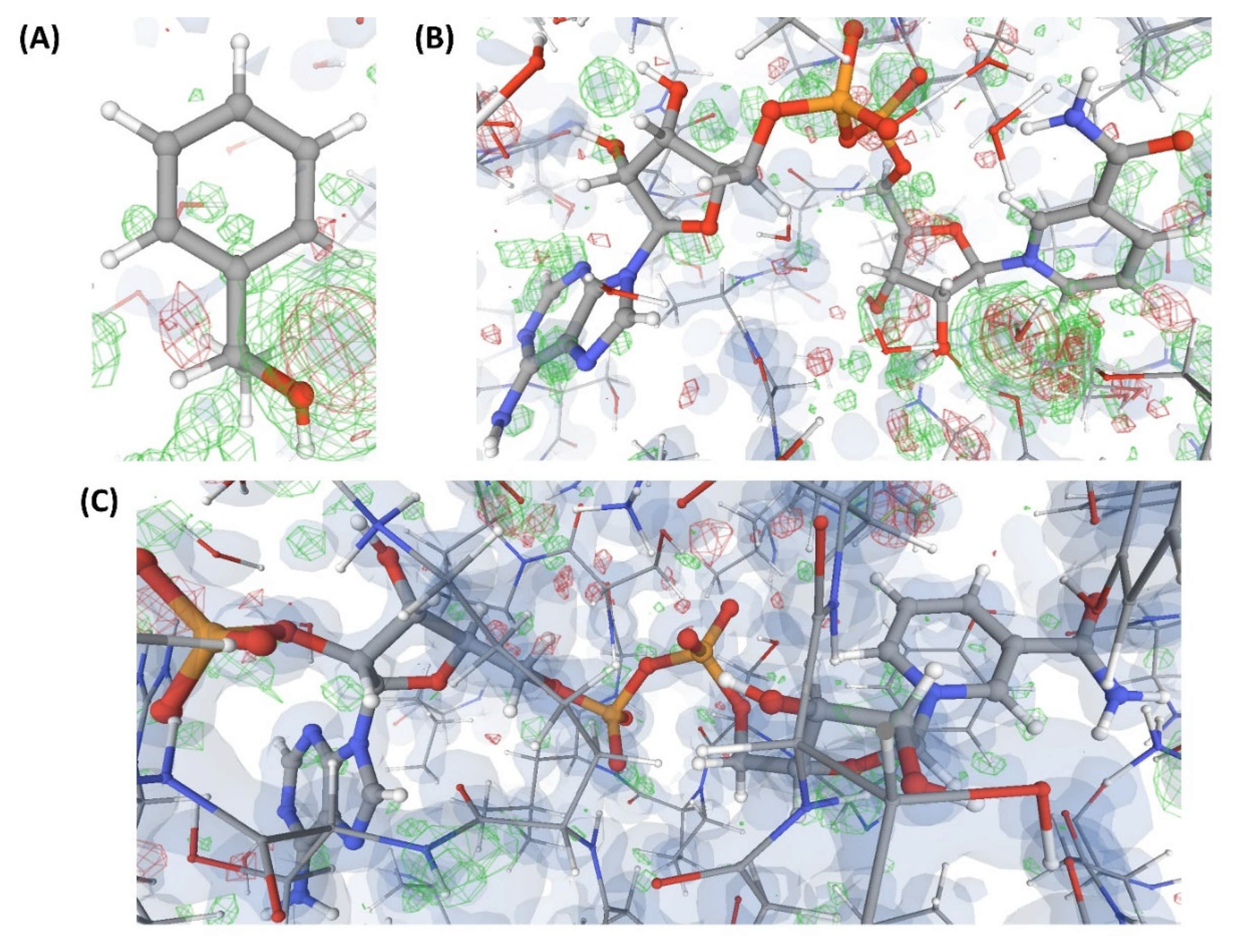 Ijms 22 06830 g008 Ijms 22 06830 g008