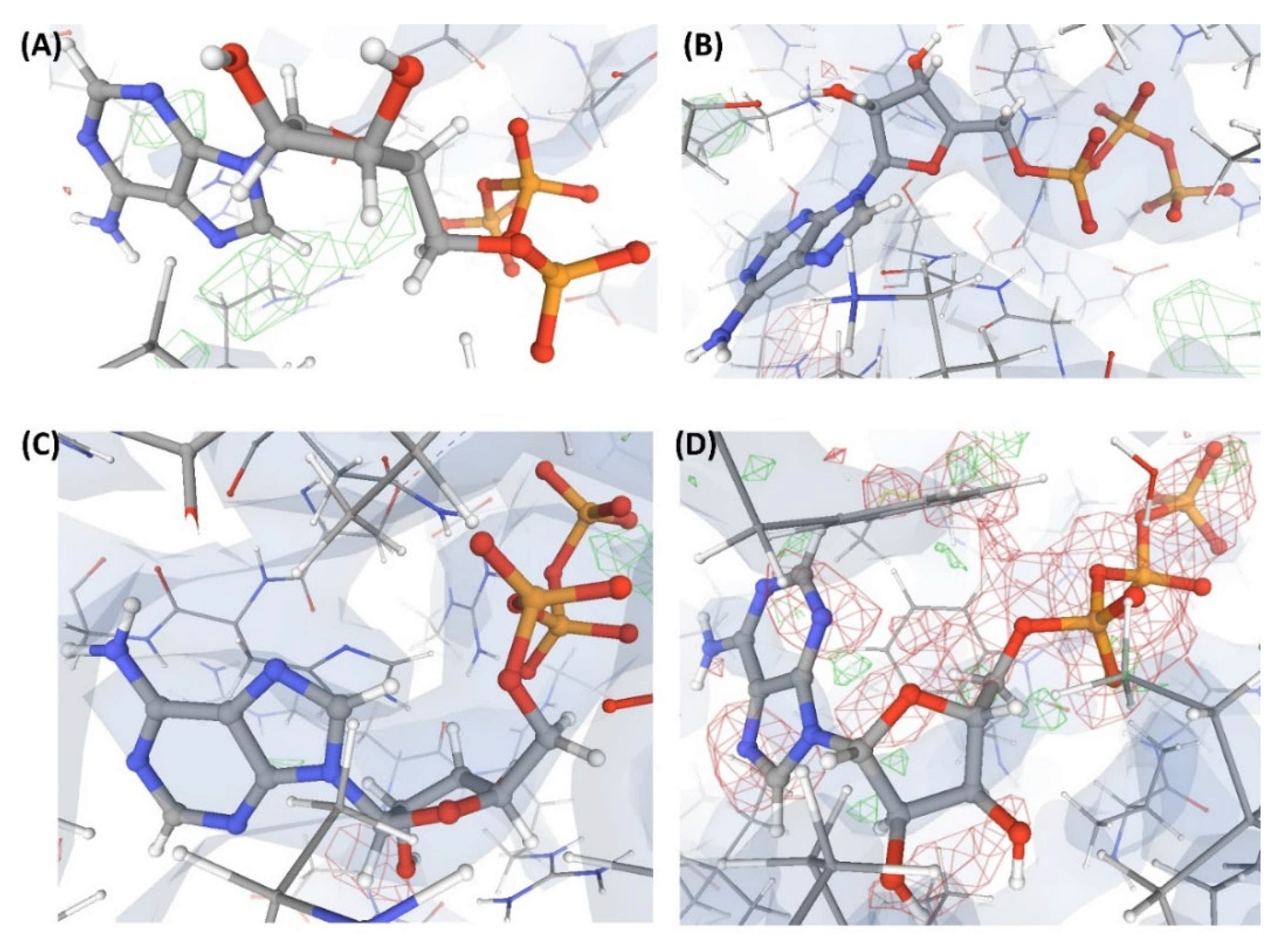 Ijms 22 06830 g009 Ijms 22 06830 g009