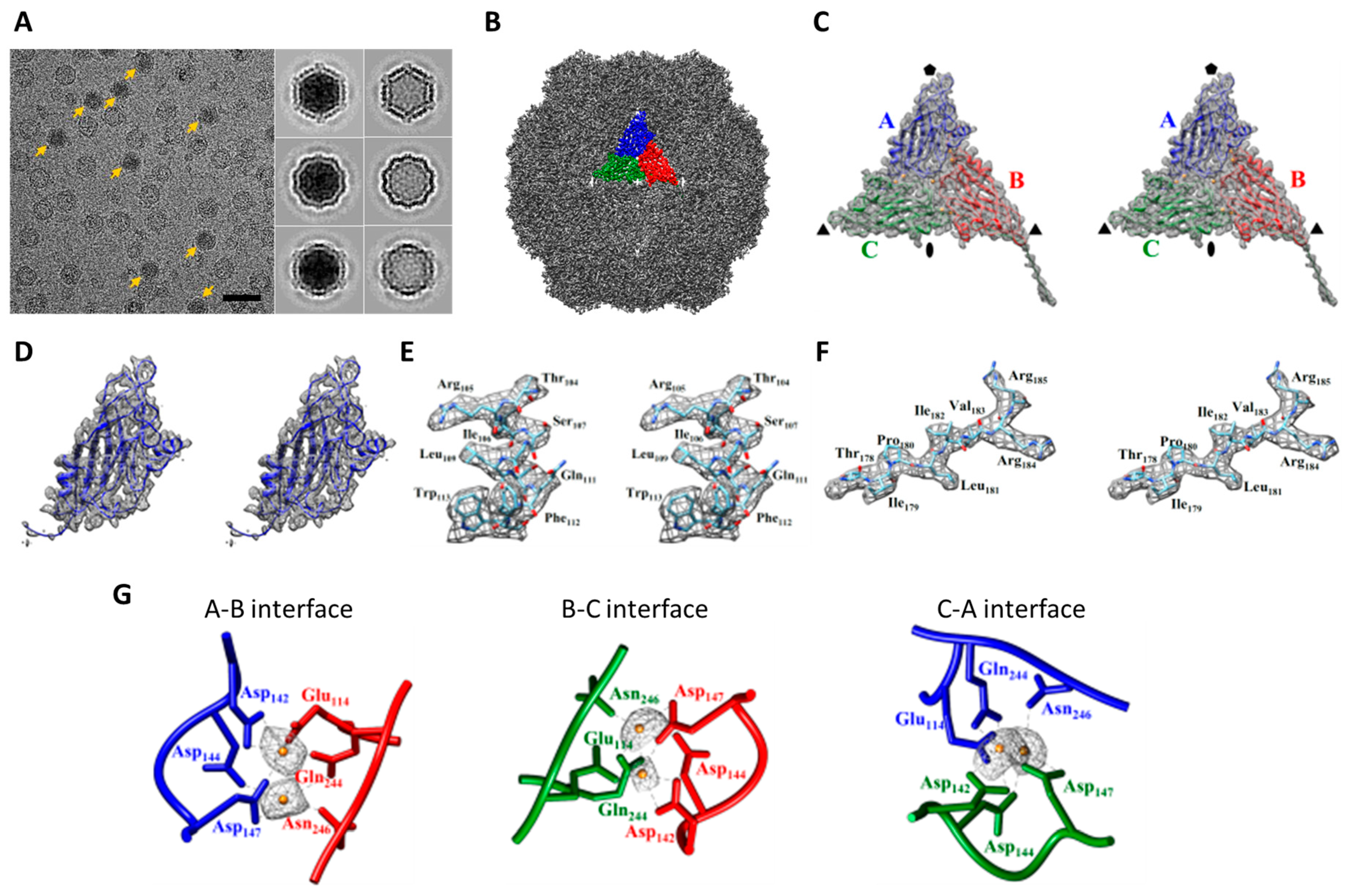 Ijms 22 06859 g005