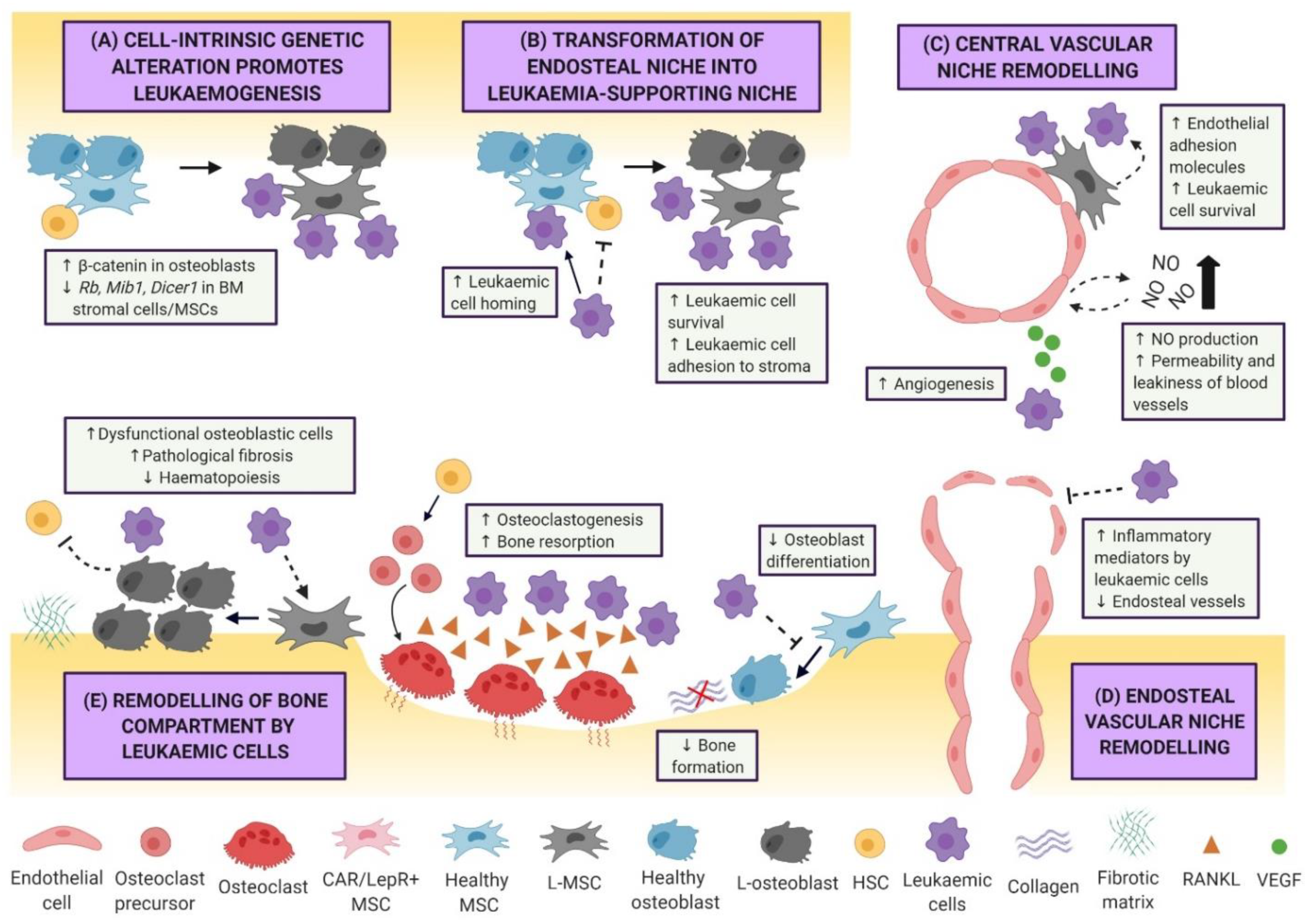 Ijms 22 06888 g001 Ijms 22 06888 g001