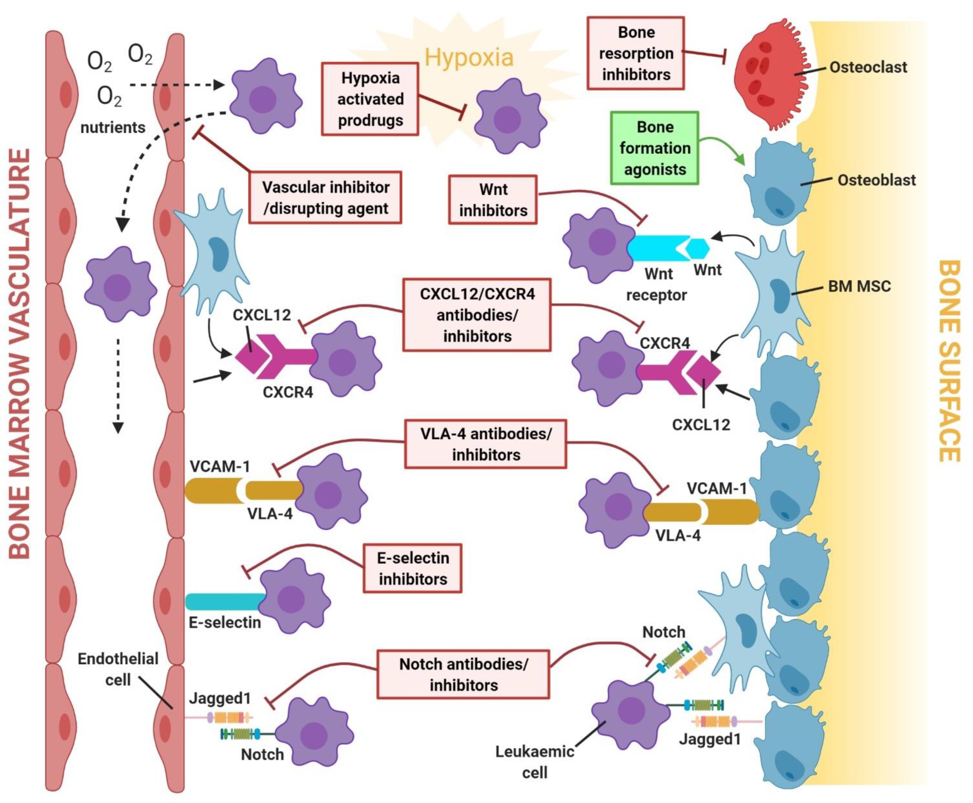 Ijms 22 06888 g002 Ijms 22 06888 g002