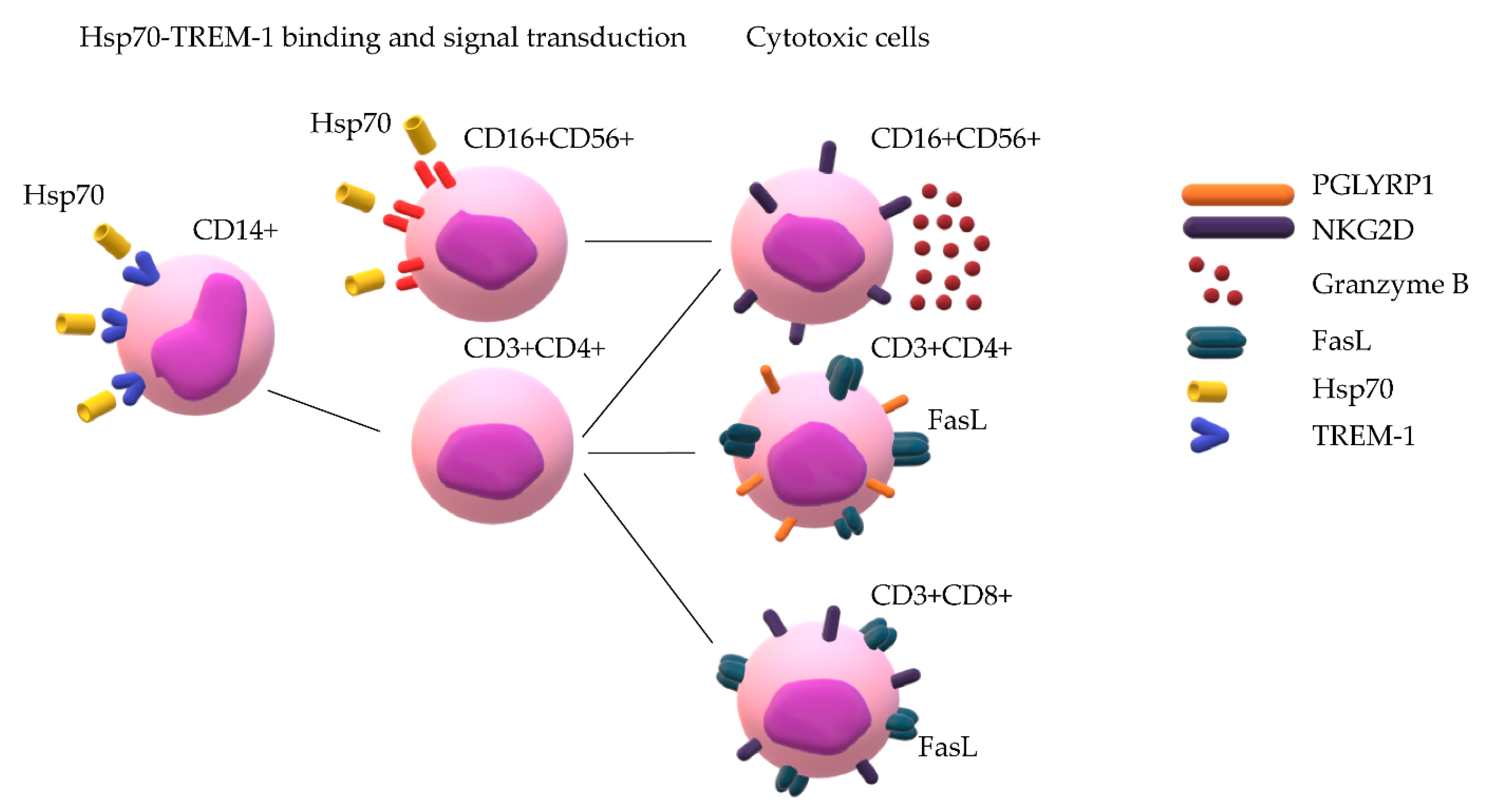 Ijms 22 06889 sch001
