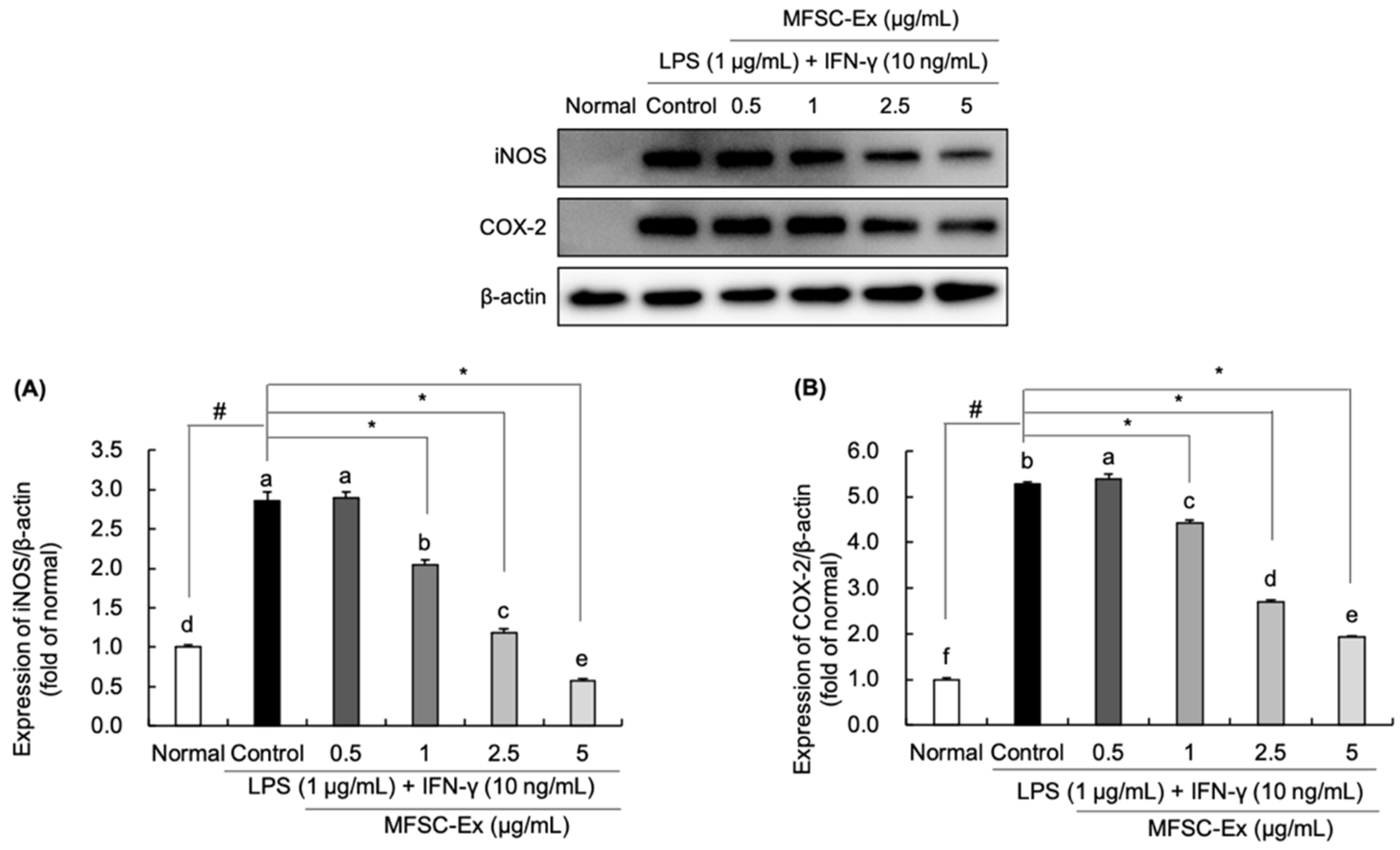 Ijms 22 06894 g004