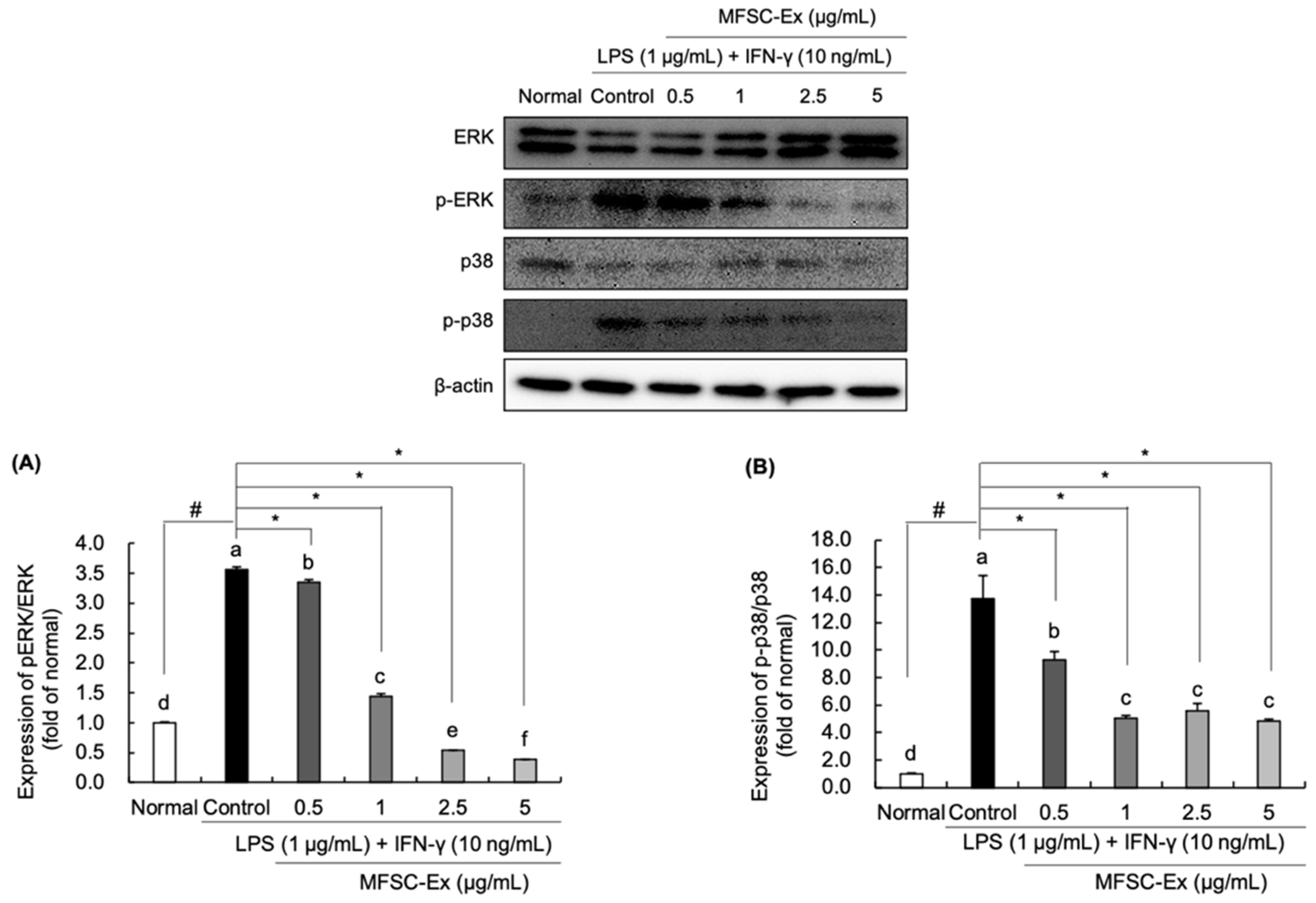 Ijms 22 06894 g005