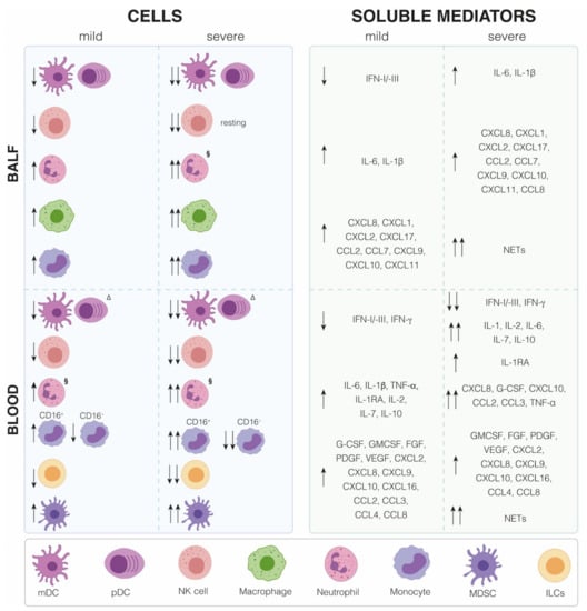 Ijms 22 07017 g002 550