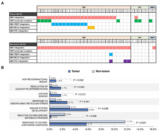 Ijms 22 07056 g004 550