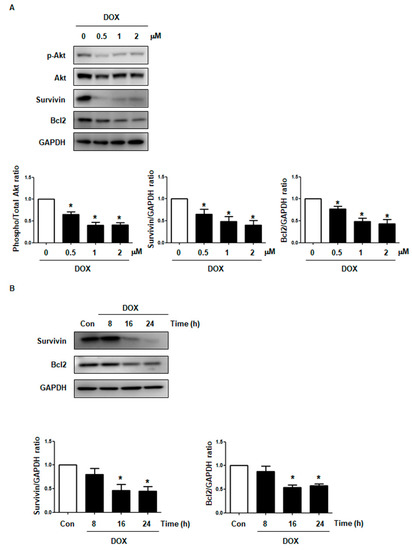 Ijms 22 07102 g0a2 550