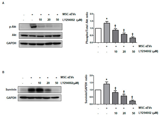 Ijms 22 07102 g0a3 550