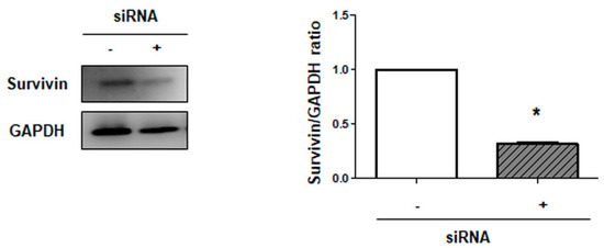 Ijms 22 07102 g0a4 550