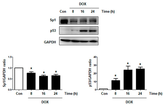 Ijms 22 07102 g0a5 550