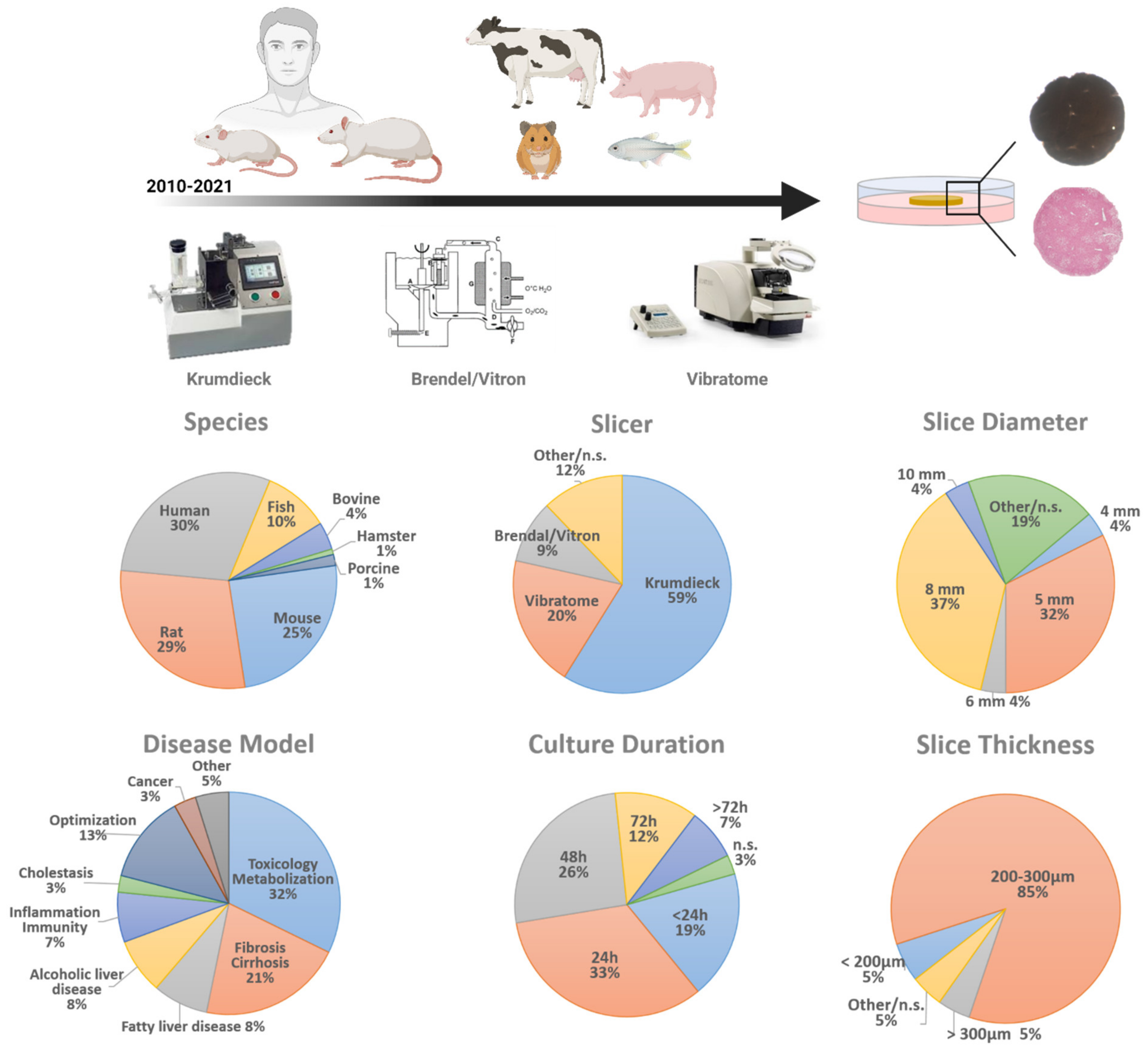 Ijms 22 07137 g001 Ijms 22 07137 g001