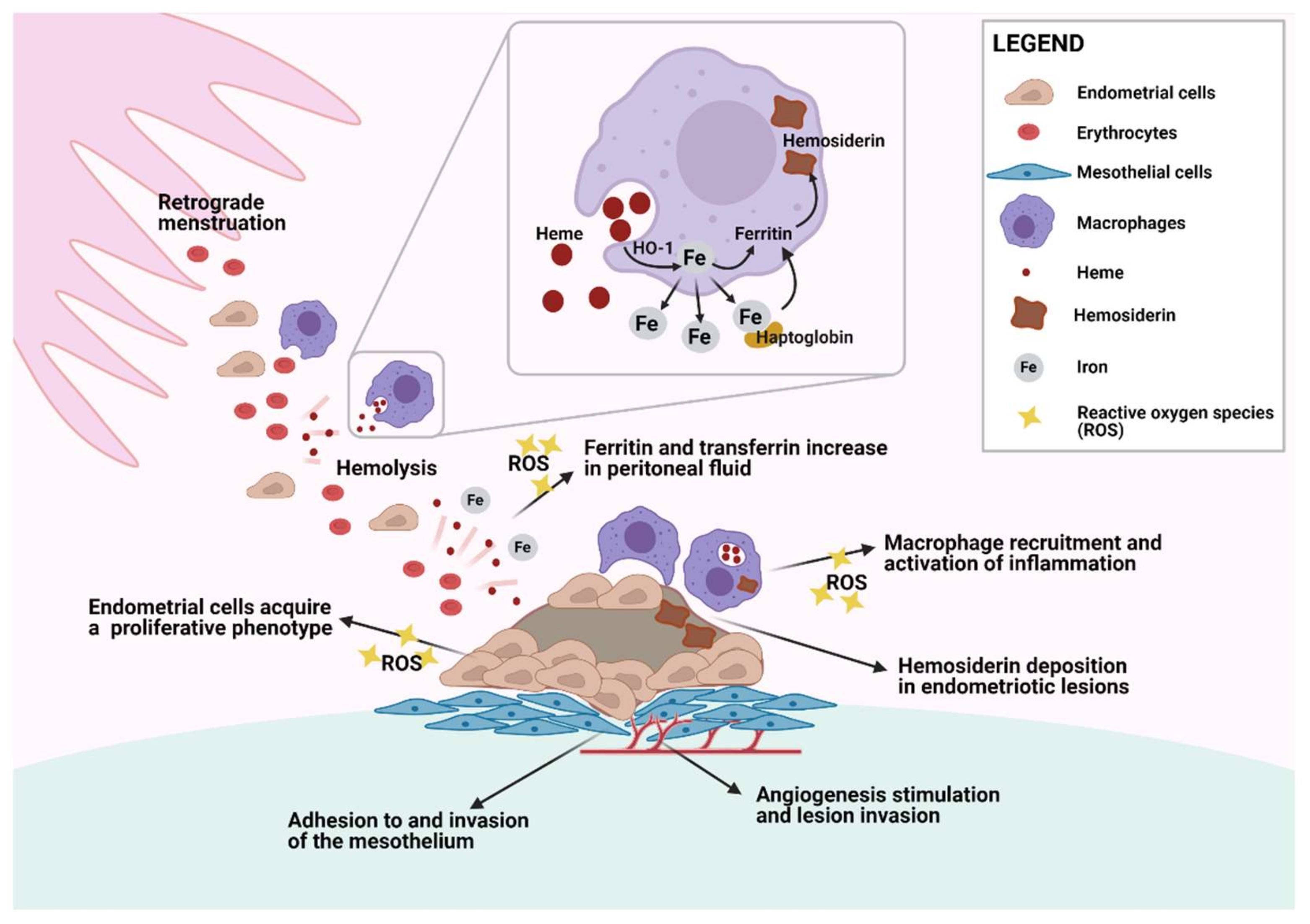 Ijms 22 07138 g001 Ijms 22 07138 g001