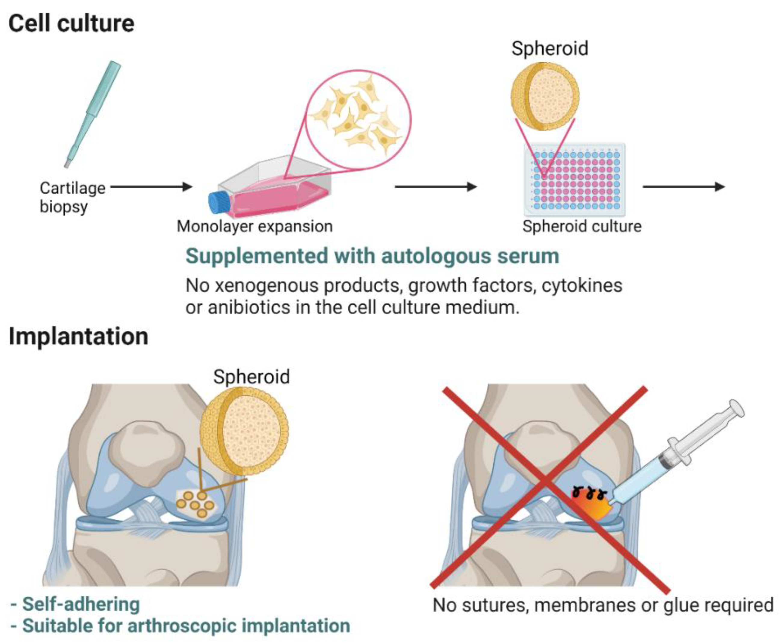 Ijms 22 07149 g001 Ijms 22 07149 g001