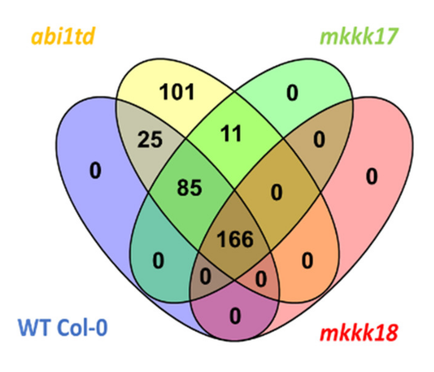 Ijms 22 07153 g002 Ijms 22 07153 g002