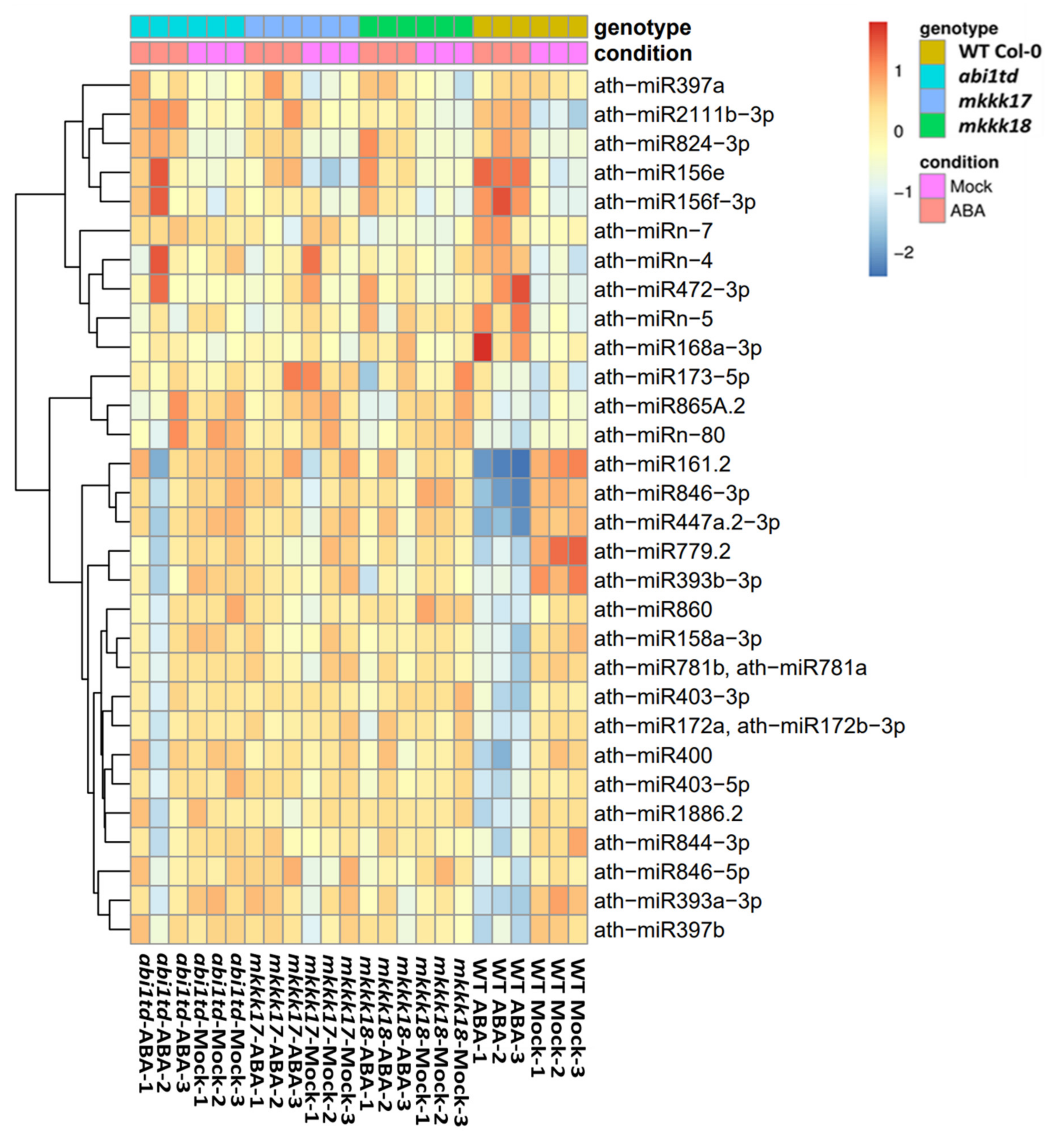 Ijms 22 07153 g004 Ijms 22 07153 g004
