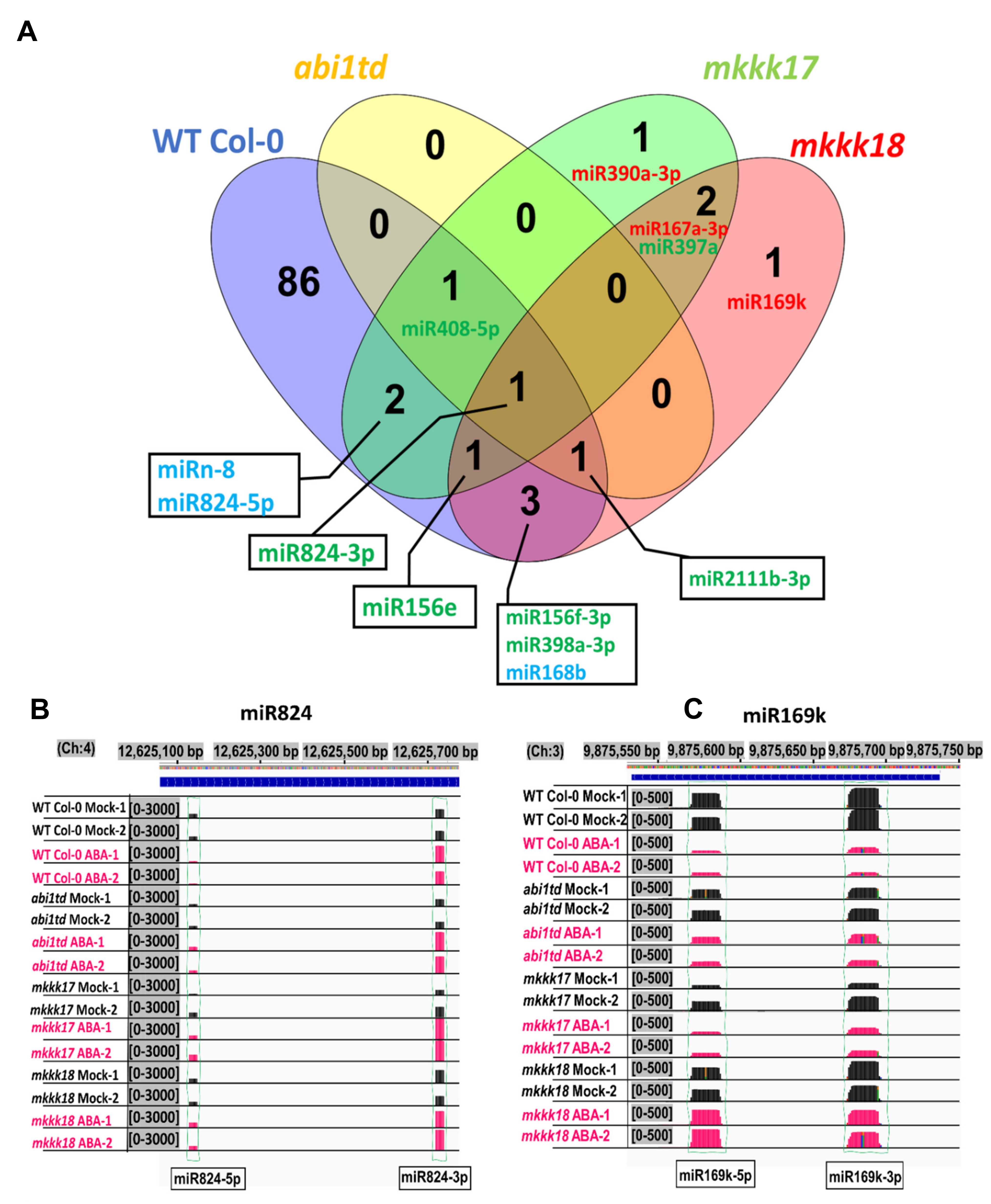 Ijms 22 07153 g006 Ijms 22 07153 g006