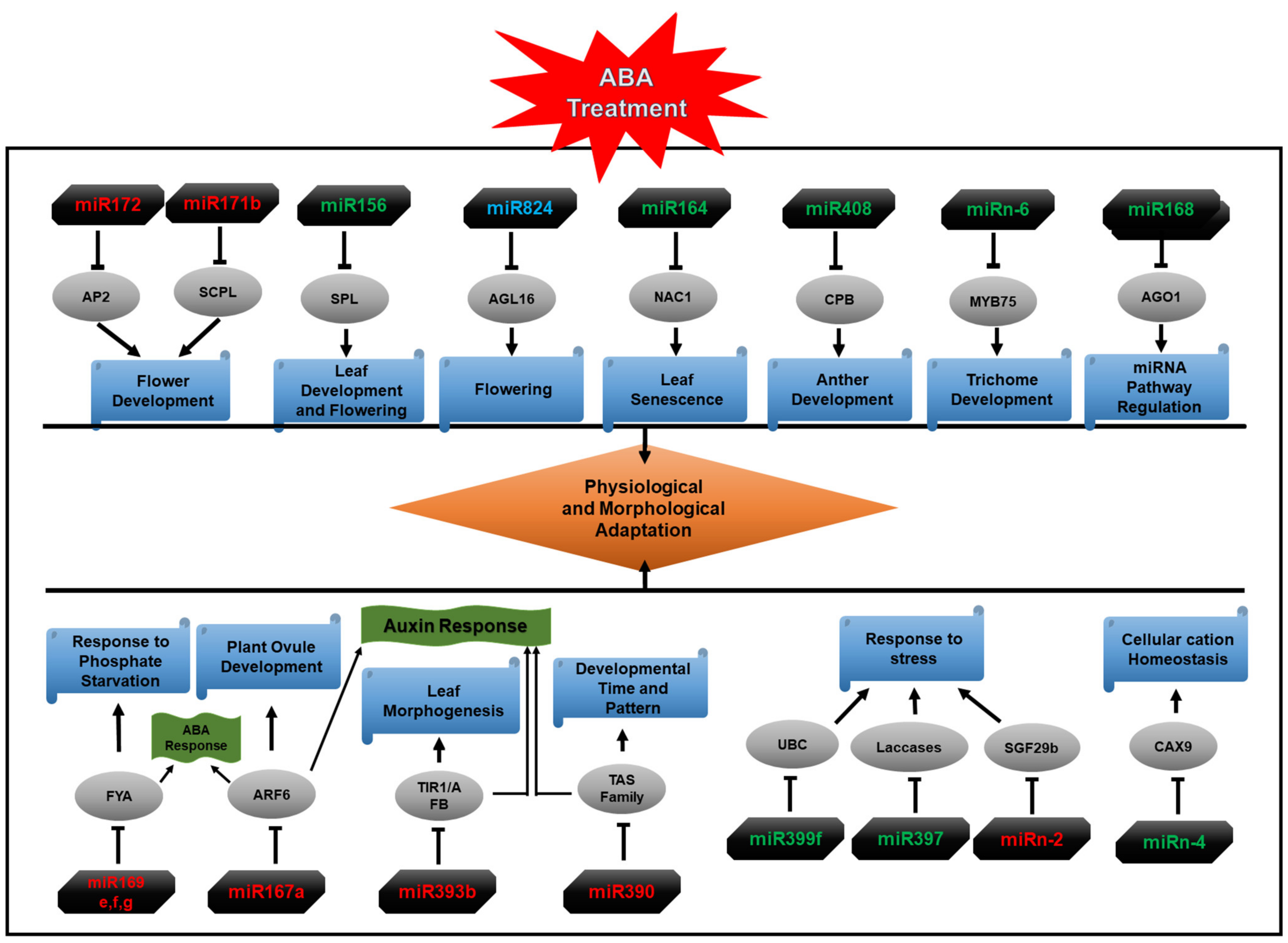 Ijms 22 07153 g011 Ijms 22 07153 g011