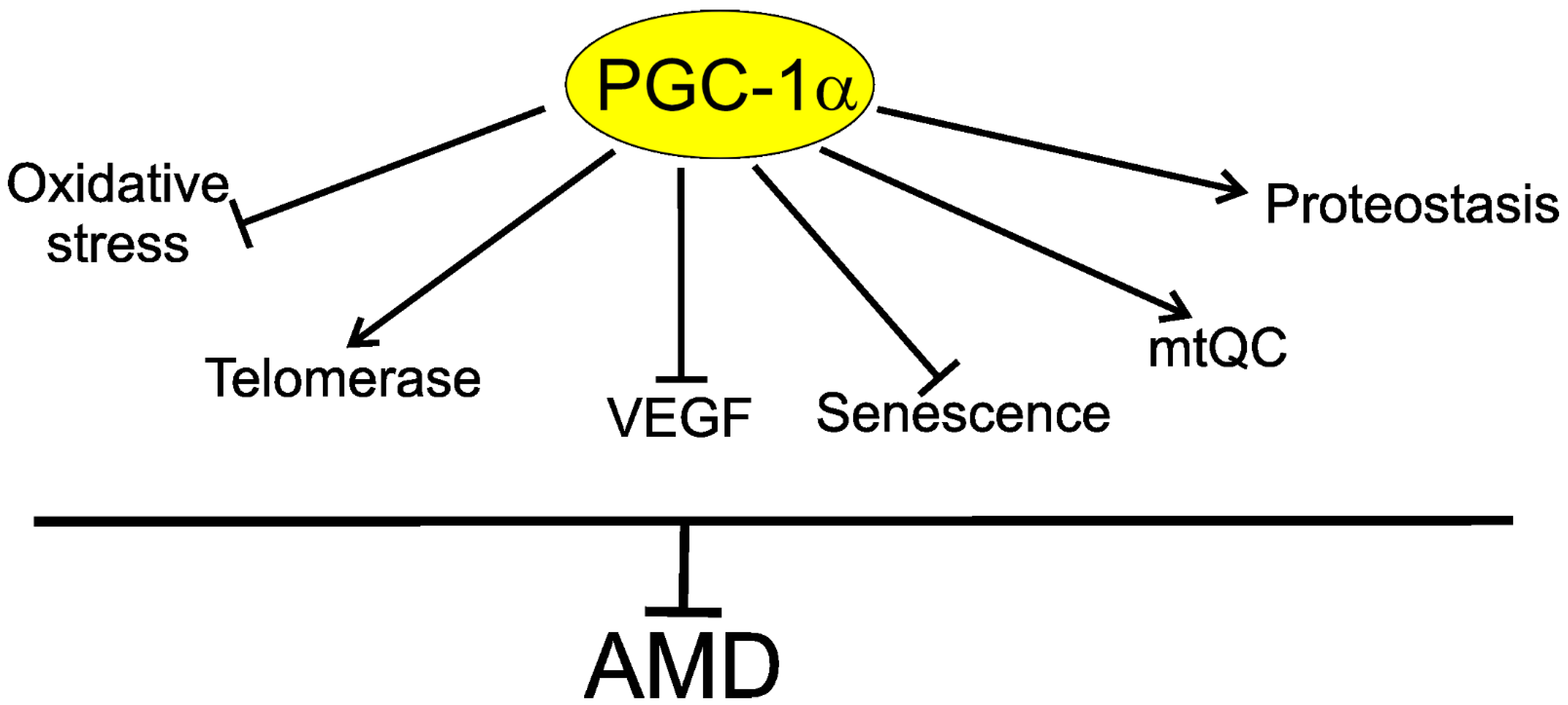 Ijms 22 07194 g006